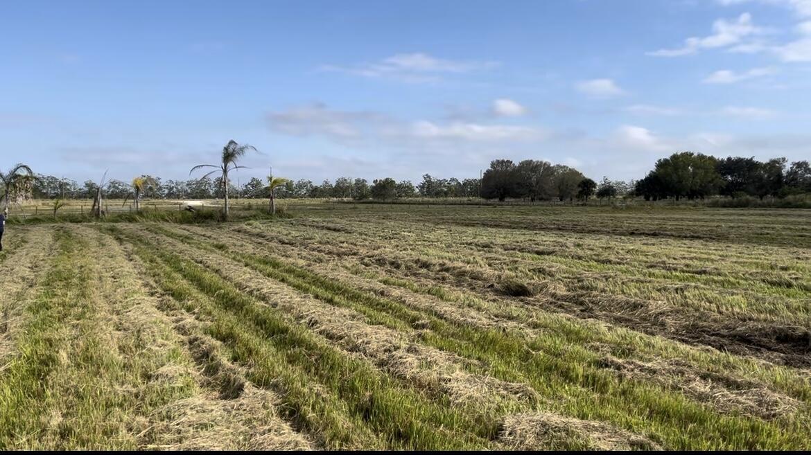 1503 S Header Canal Road Property Photo 2
