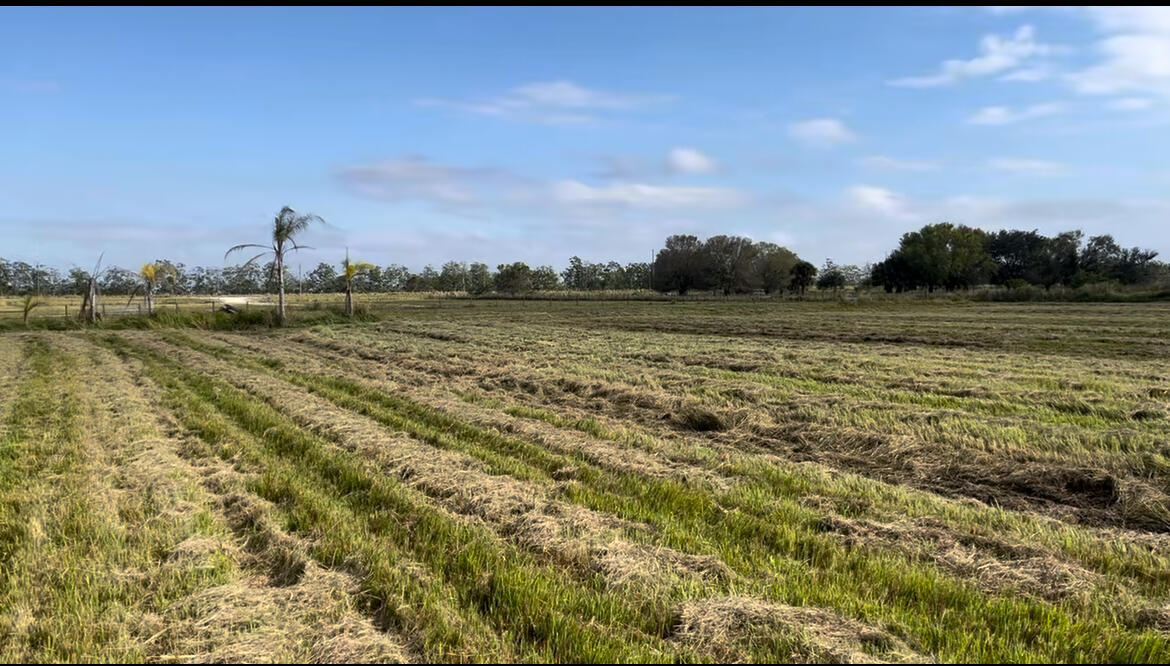 1503 S Header Canal Road Property Photo 3