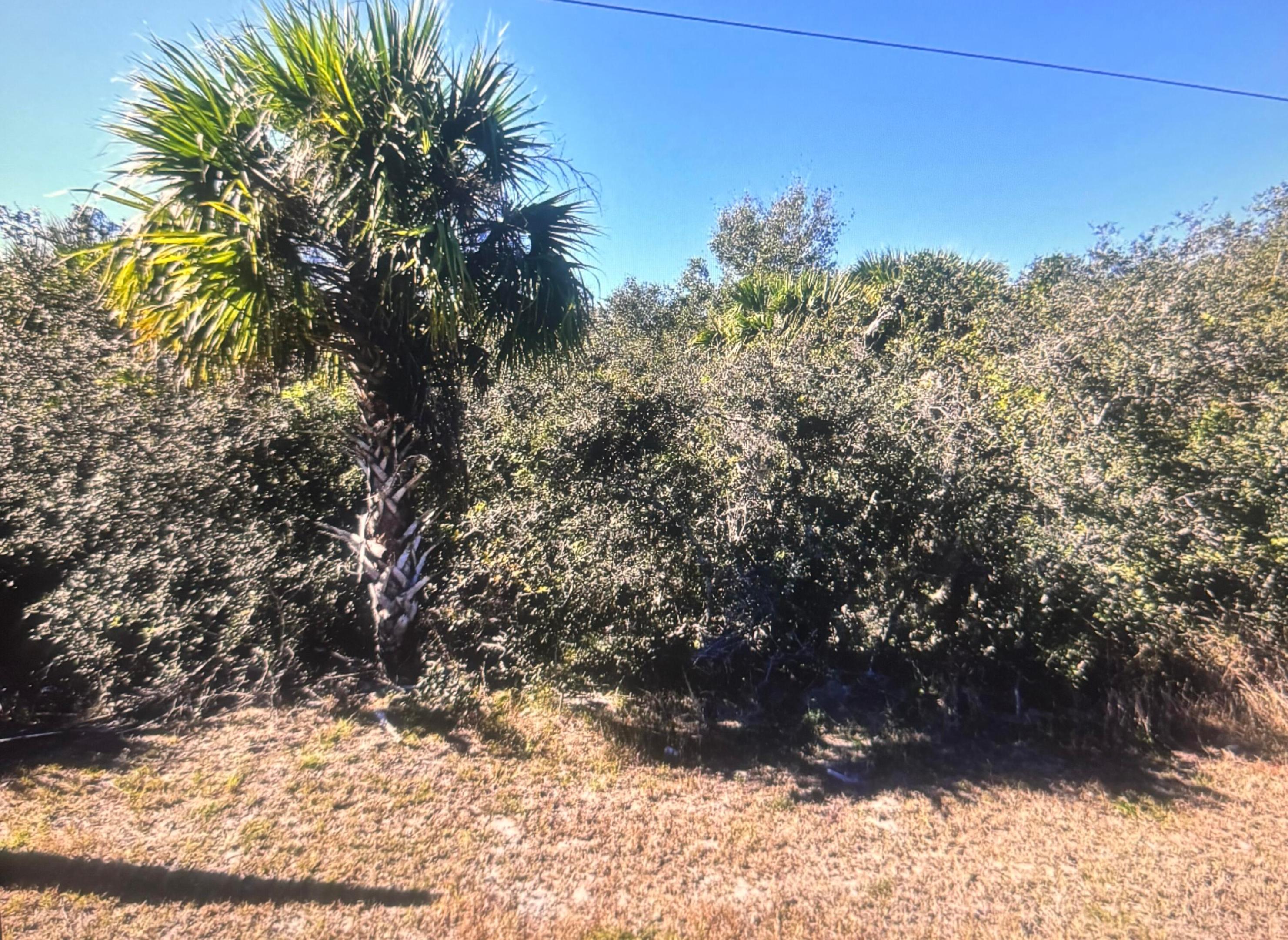 0 Old Dixie N Highway Property Photo 1