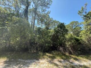 337 Palm Way Property Photo 1