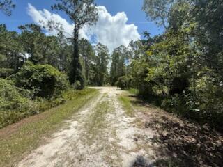 337 Palm Way Property Photo 2