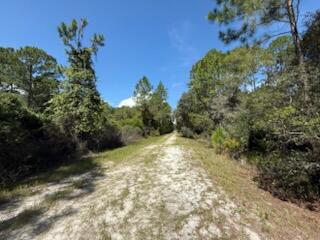 337 Palm Way Property Photo 5