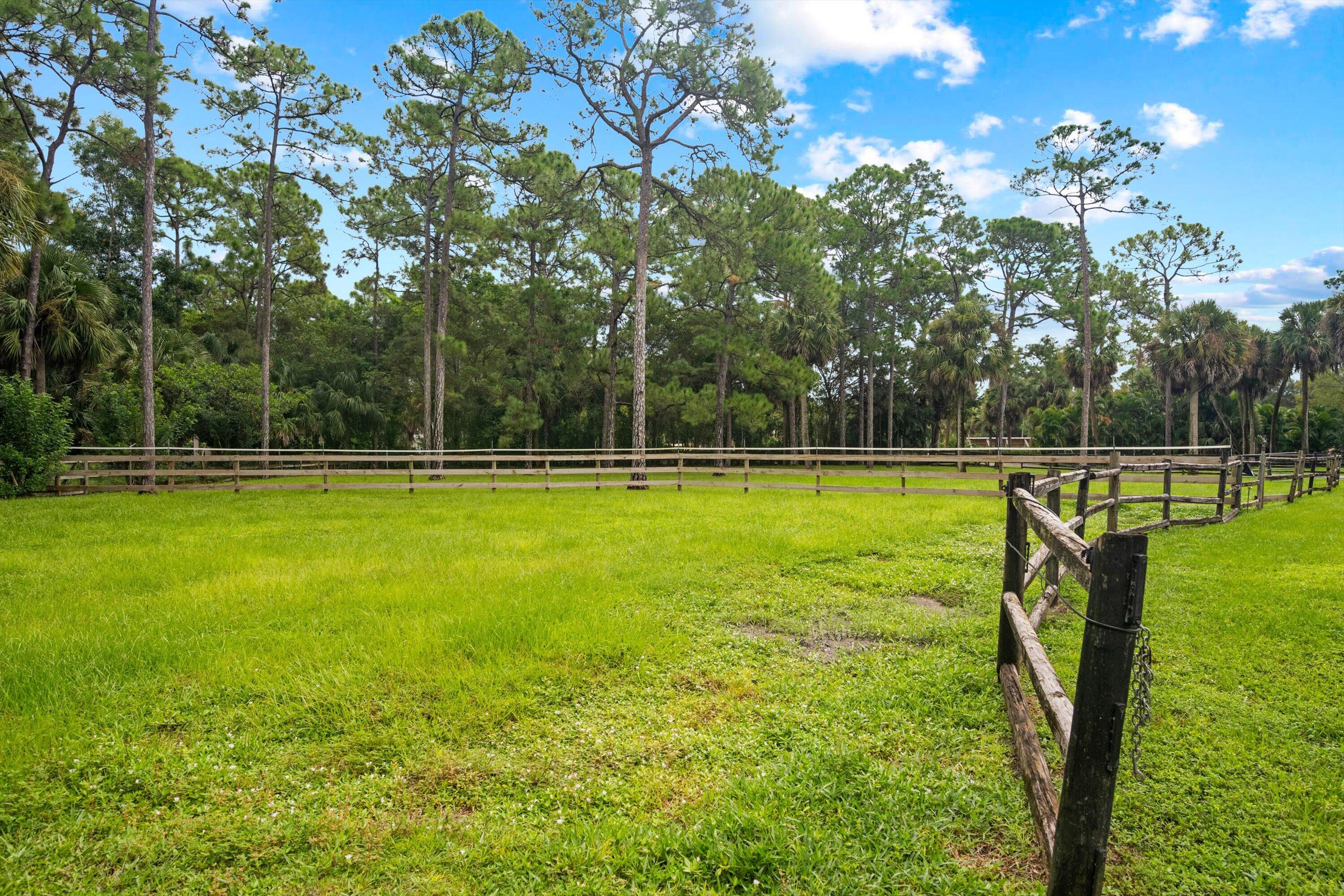 2915 Doe Trail Property Photo 5