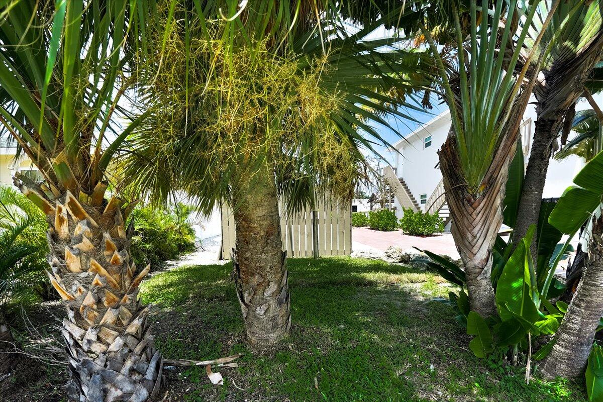 305 Cypress Drive E 1,2,3,4,5 Property Photo 38