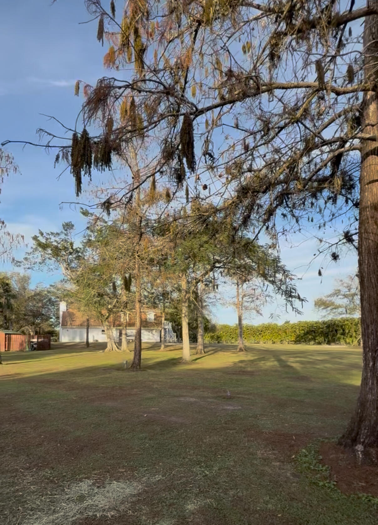 16098 Deer Path Lane Property Photo 17