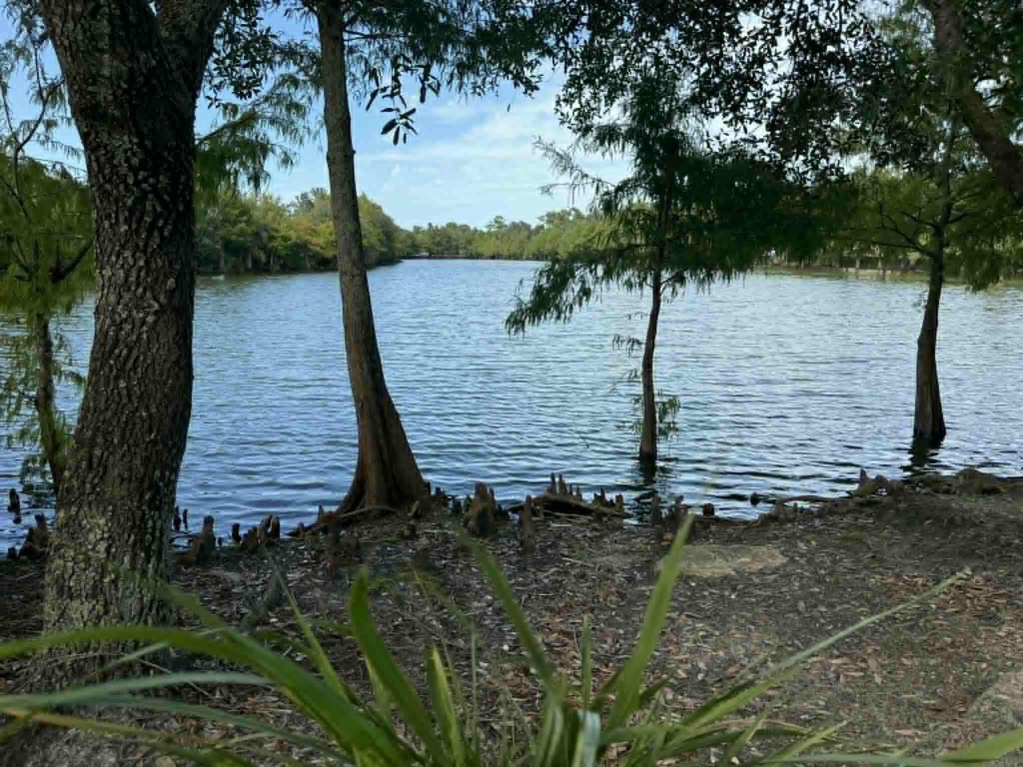 2527 Se Ruskin Drive Property Photo 26