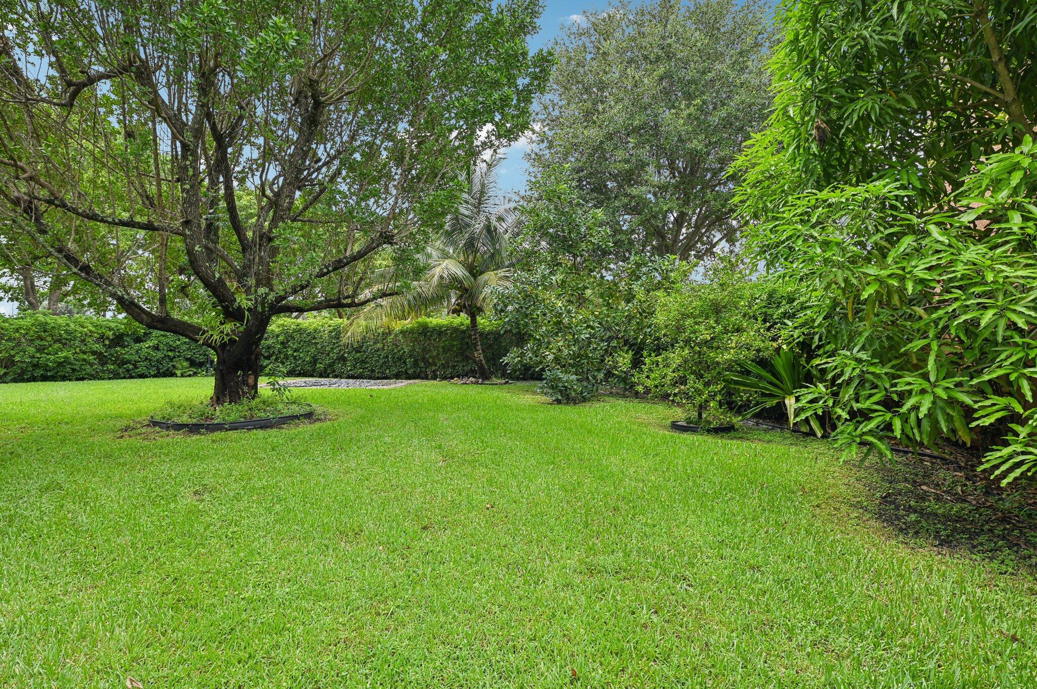 553 Gazetta Way Property Photo 59