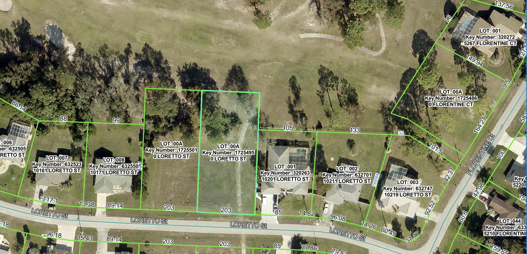 0 Tbd Loretto Lot 4 Street Property Photo 3