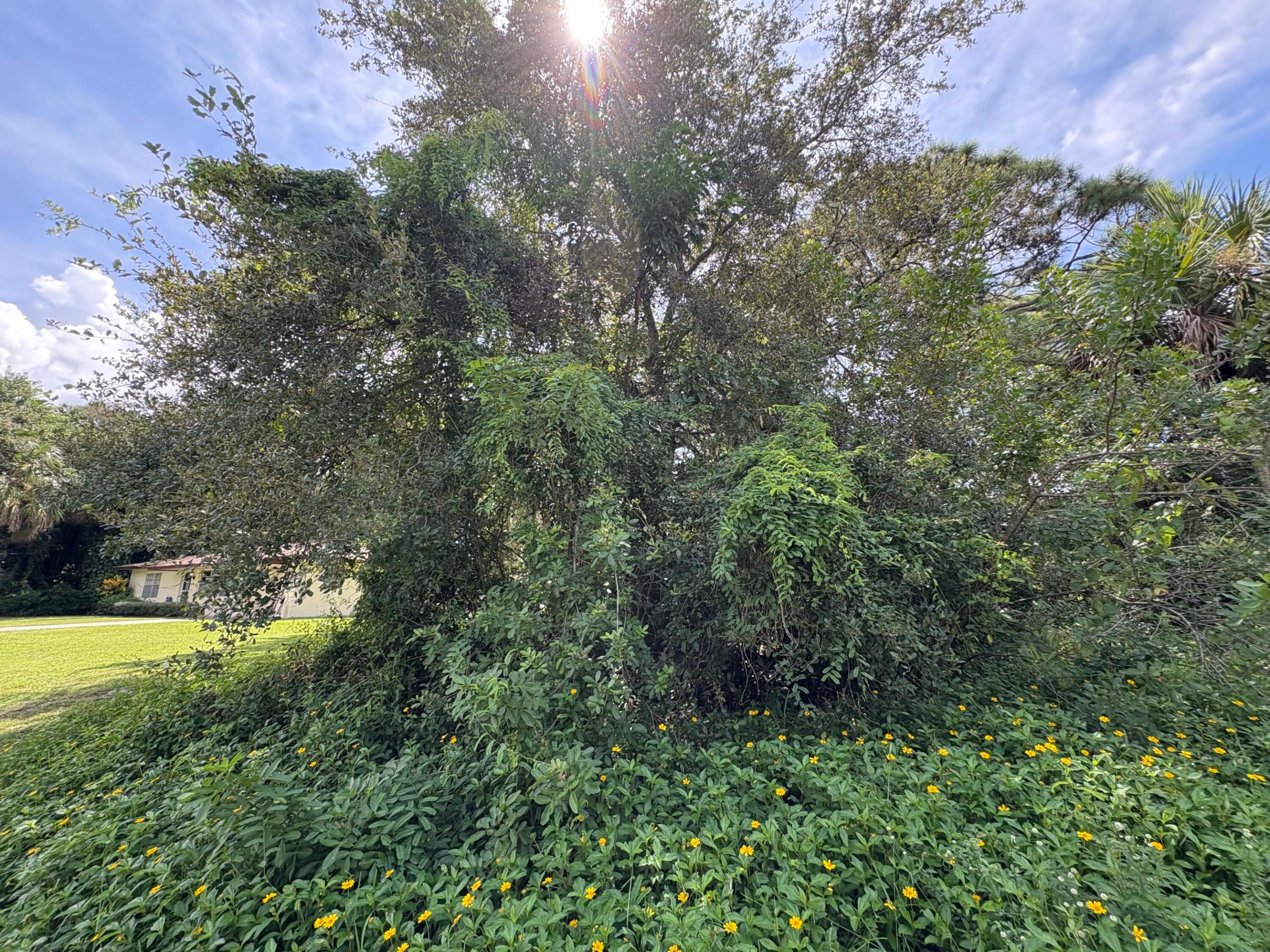 Tbd Santa Clara Boulevard Property Photo 1