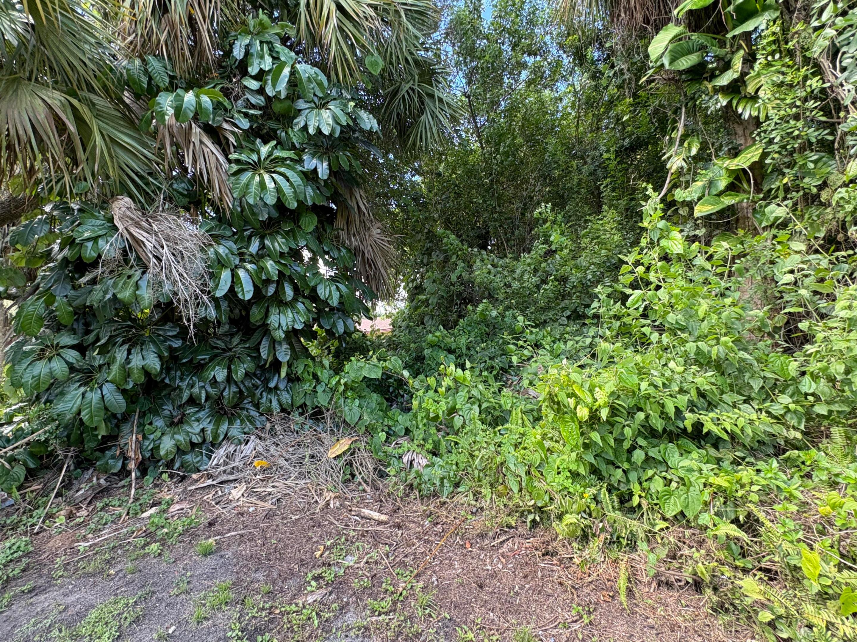 Tbd Santa Clara Boulevard Property Photo 5