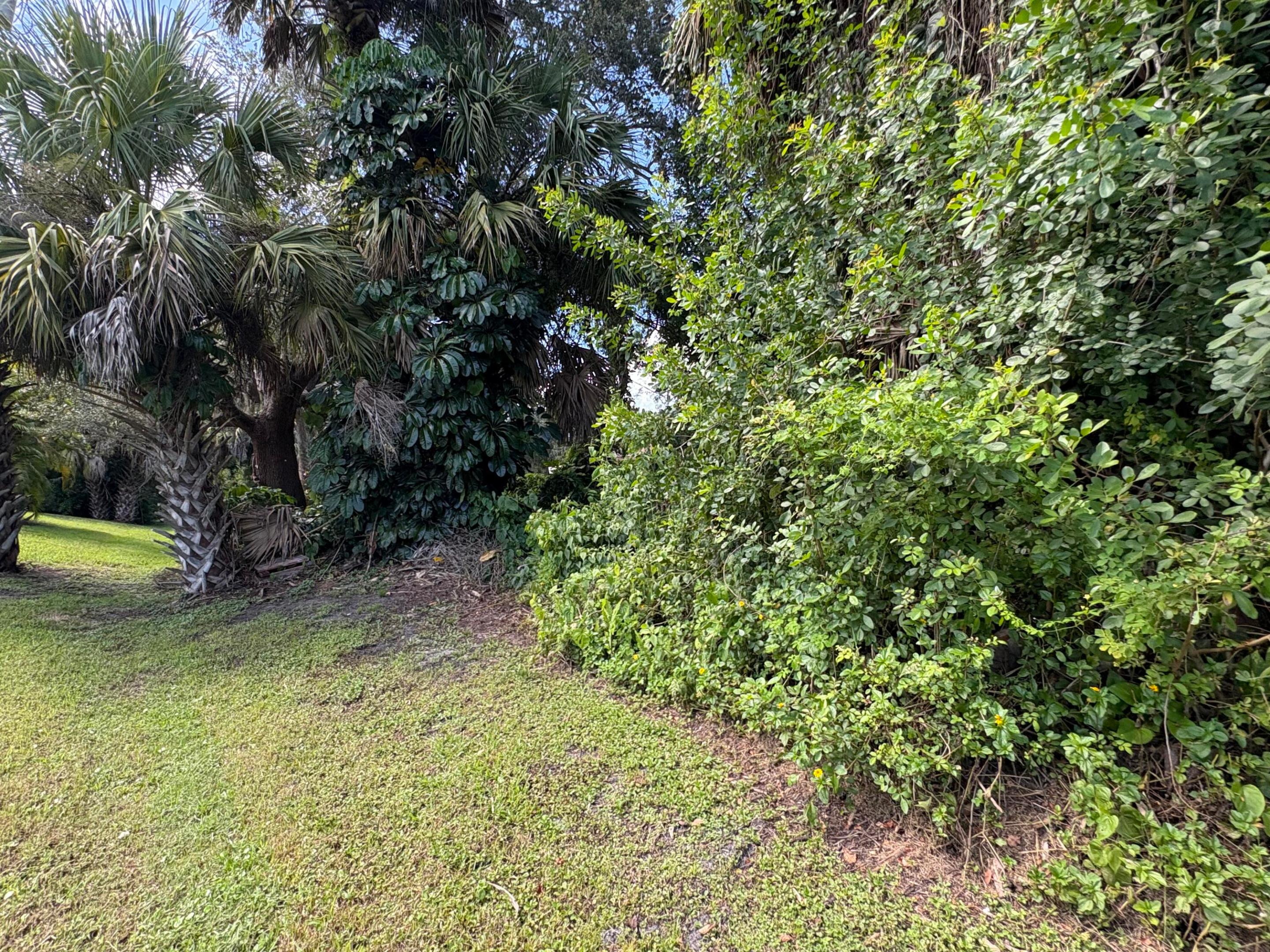 Tbd Santa Clara Boulevard Property Photo 8