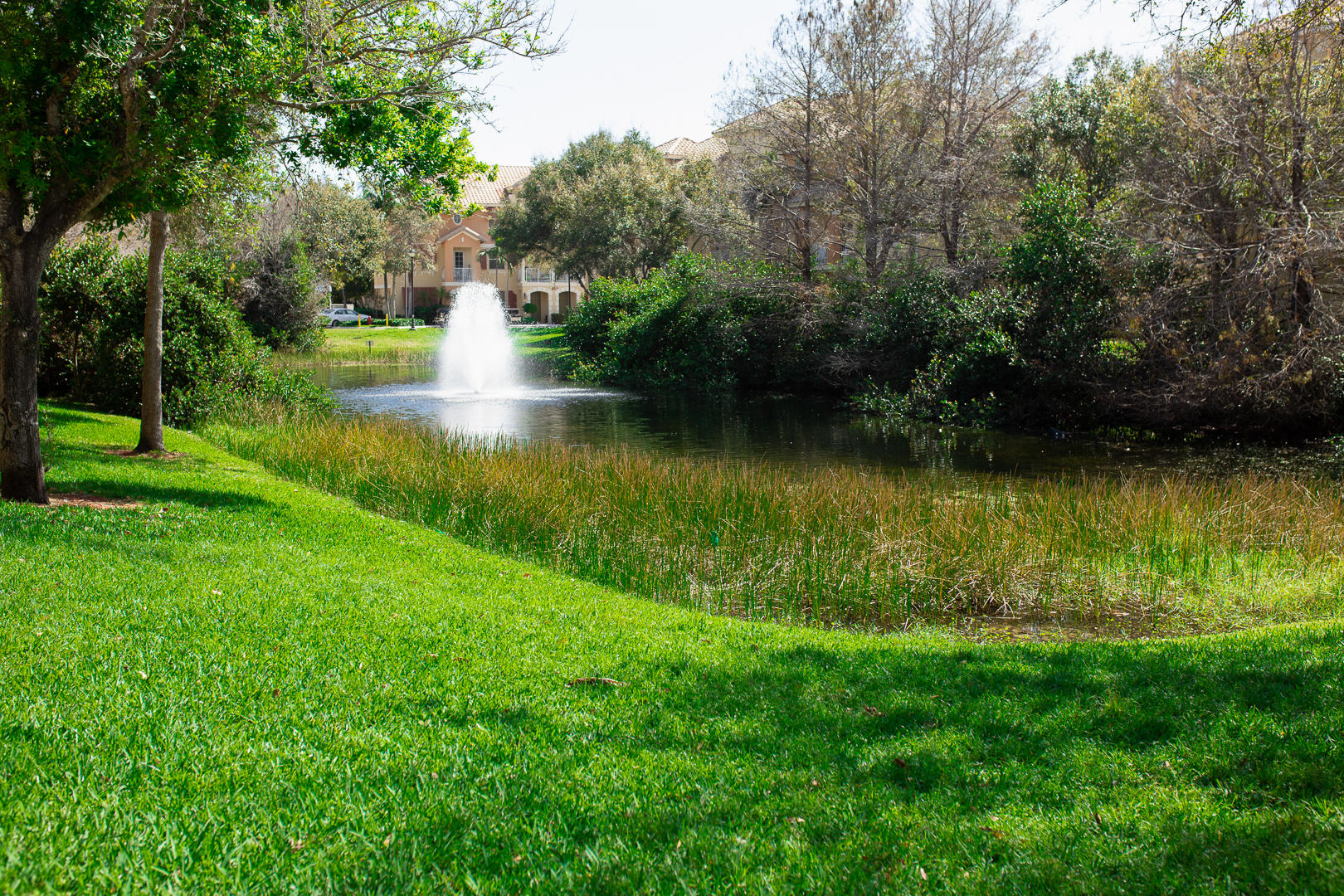1272 Via Fiume Property Photo 44