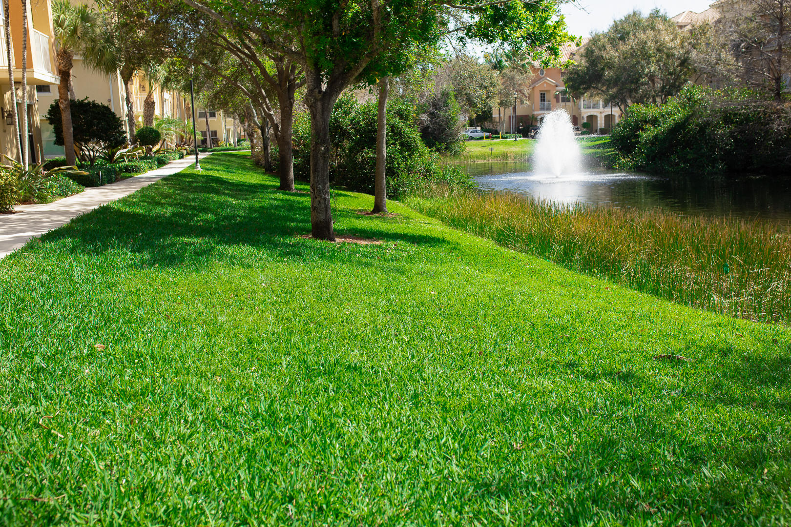 1272 Via Fiume Property Photo 45