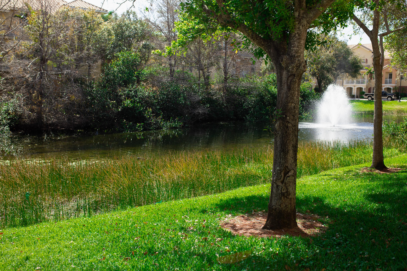 1272 Via Fiume Property Photo 46