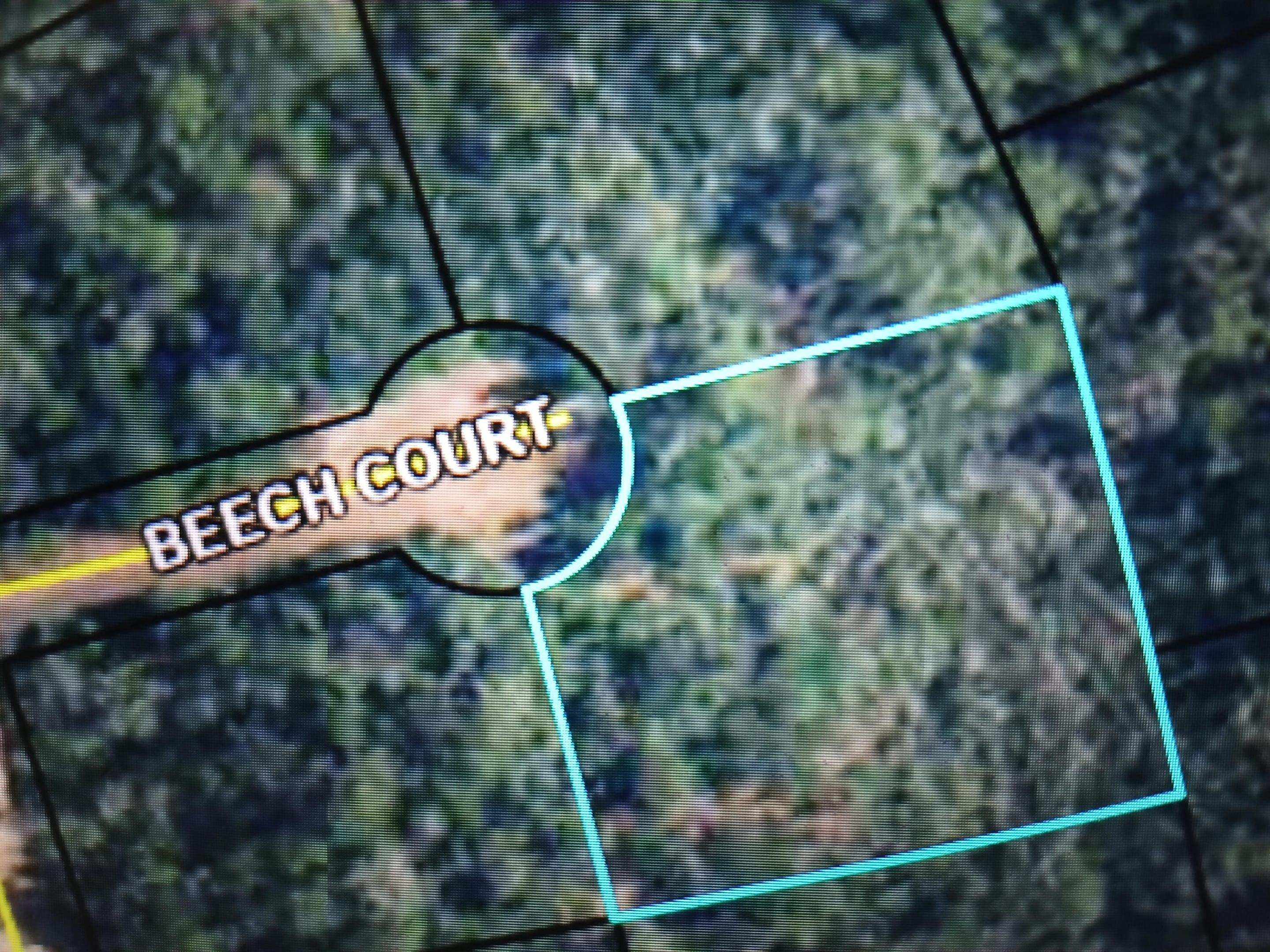 000 Beech Court