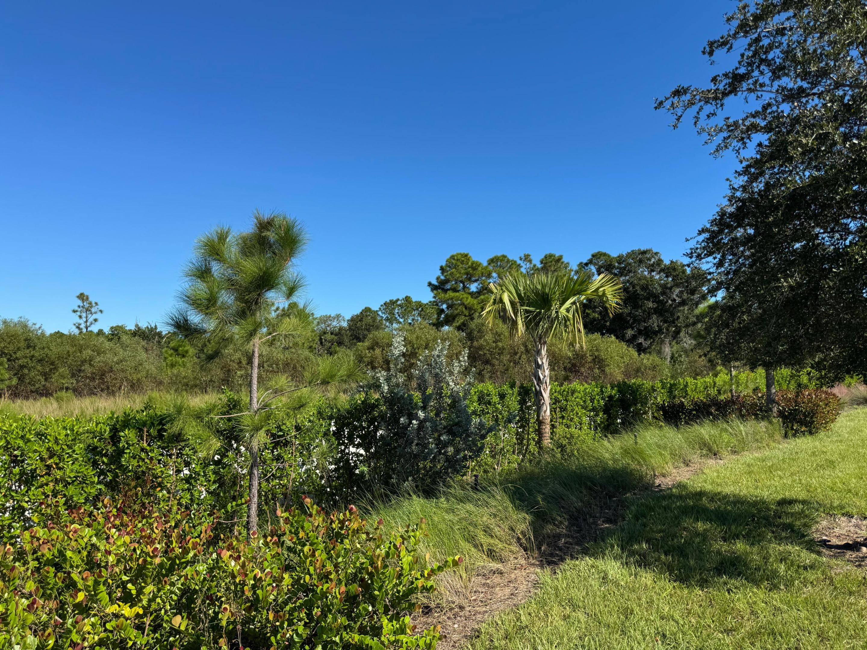 13105 Monte Rosa Court Property Photo 6