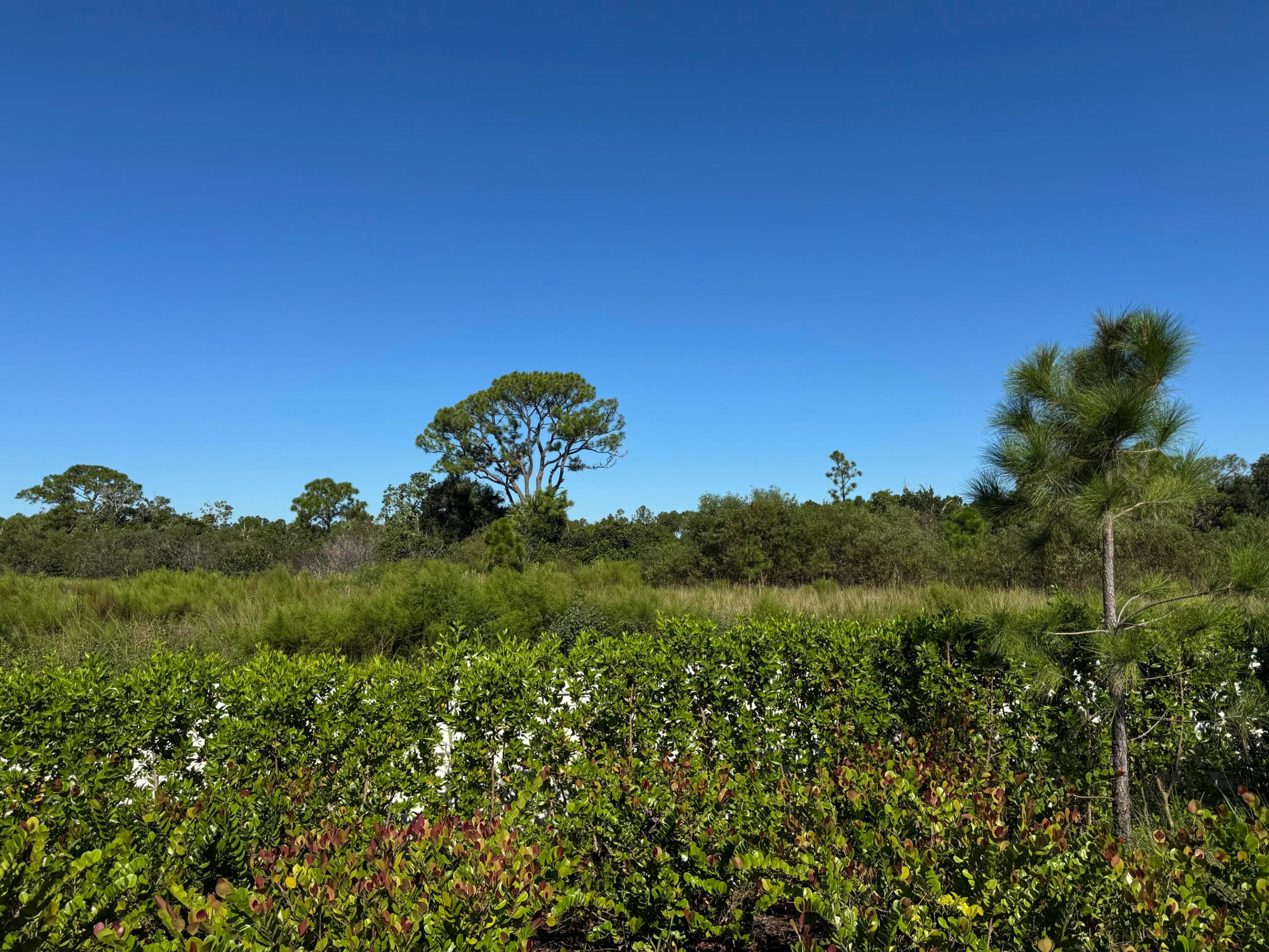 13105 Monte Rosa Court Property Photo 7