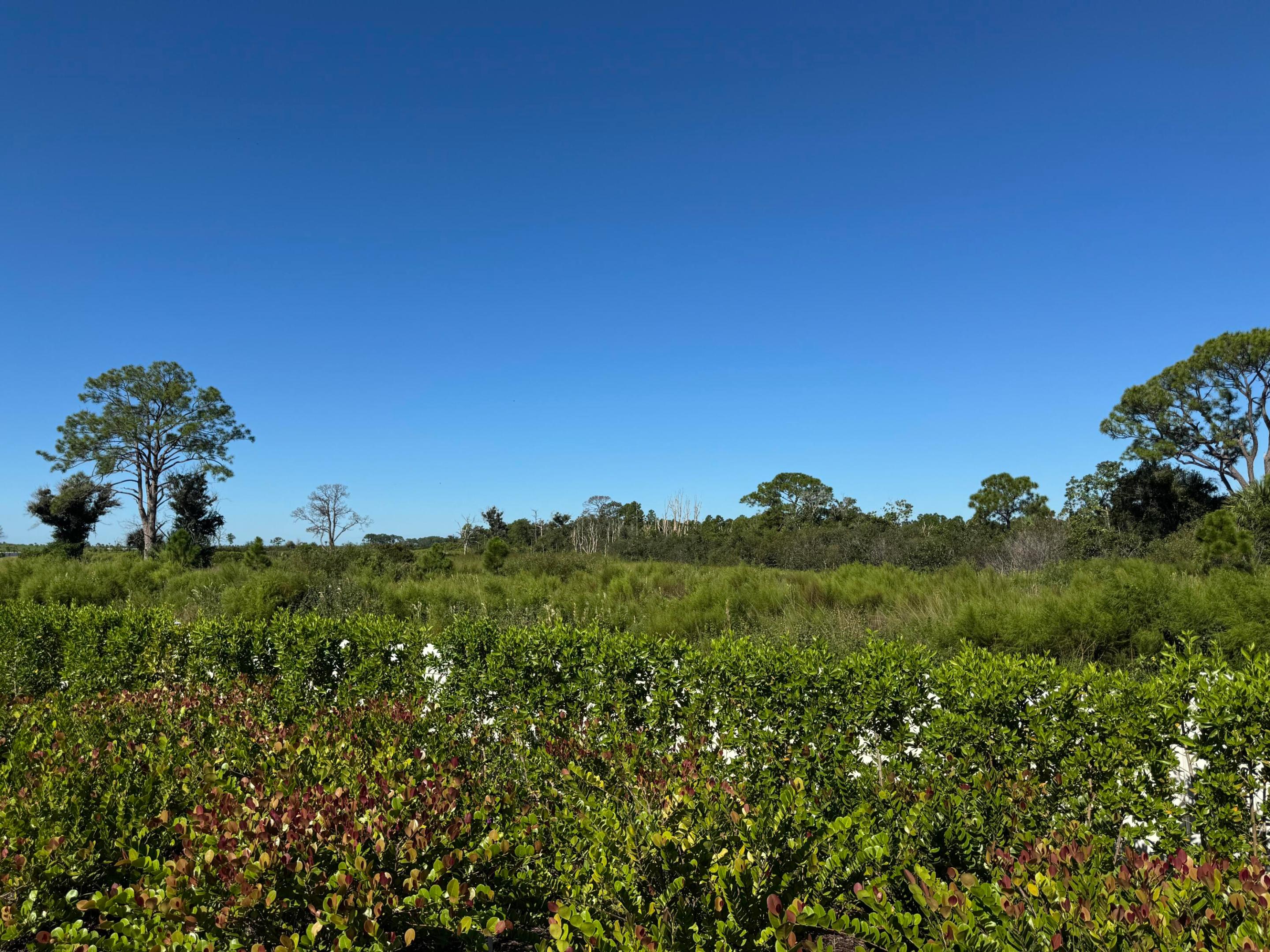 13105 Monte Rosa Court Property Photo 8