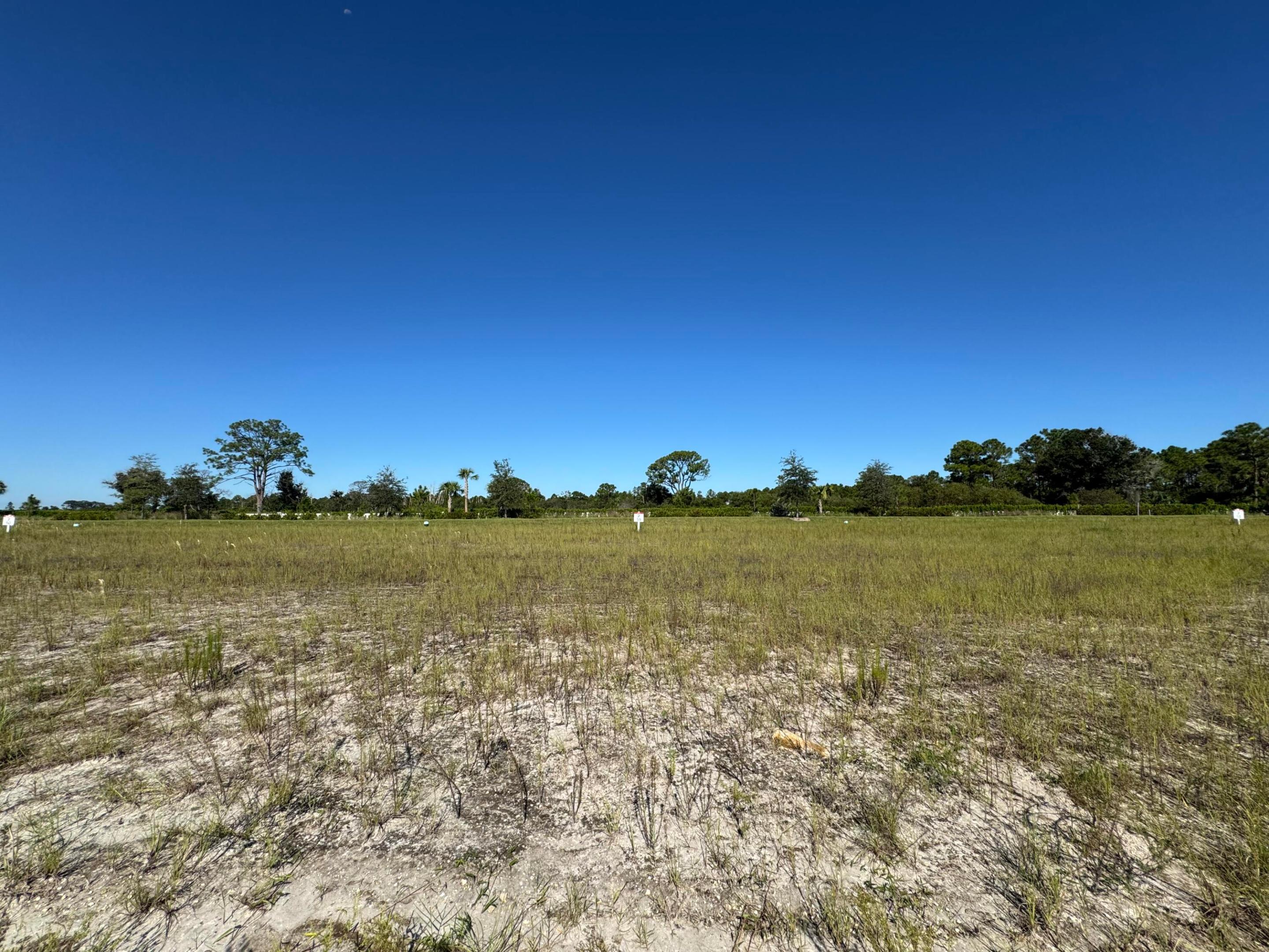 13105 Monte Rosa Court Property Photo 10