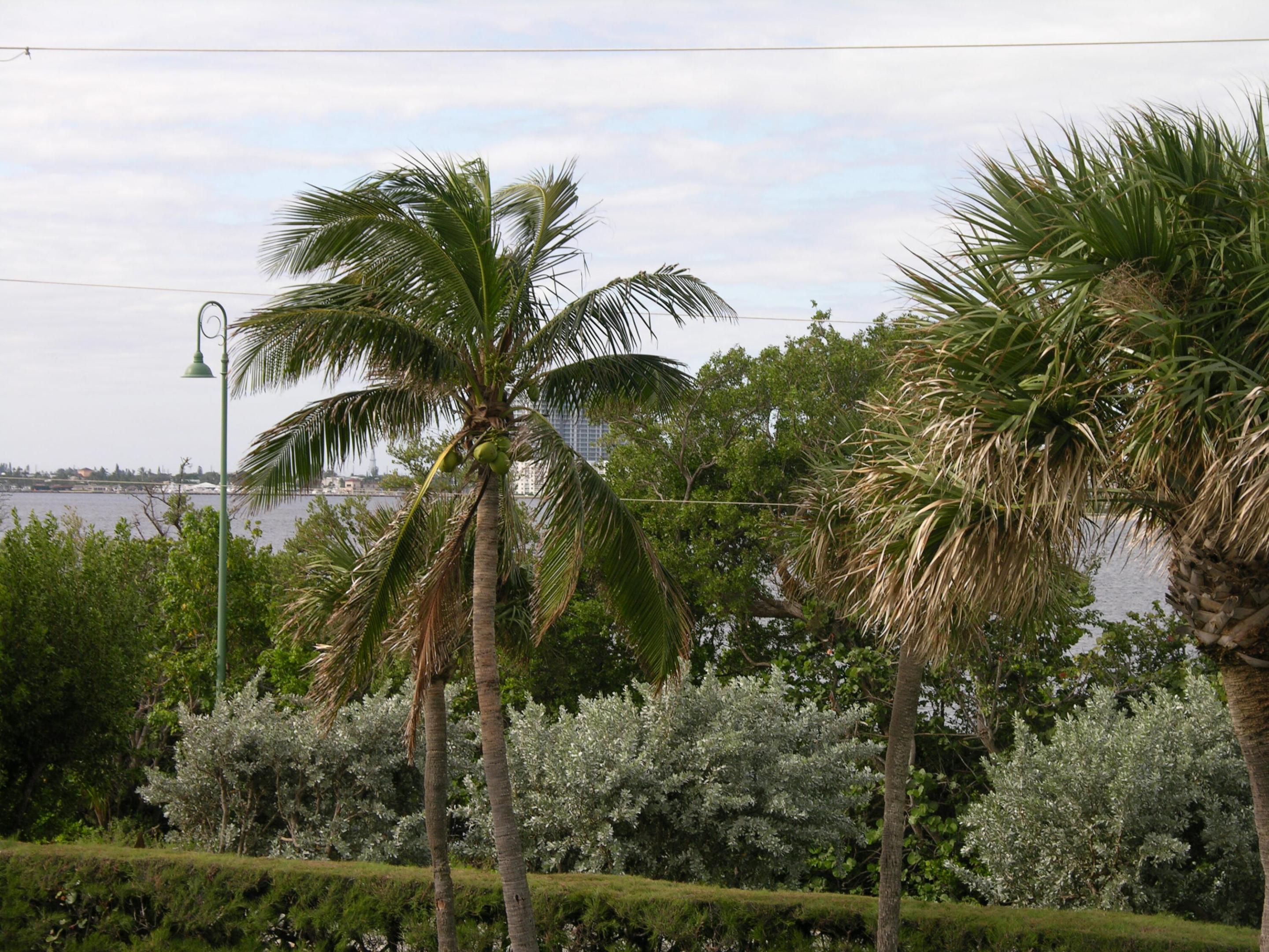 5550 N Ocean Drive 2b Property Photo 48