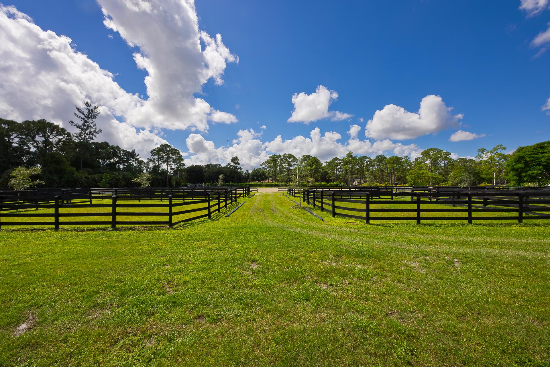 10601 Tamis Trail (stalls) Property Photo 14