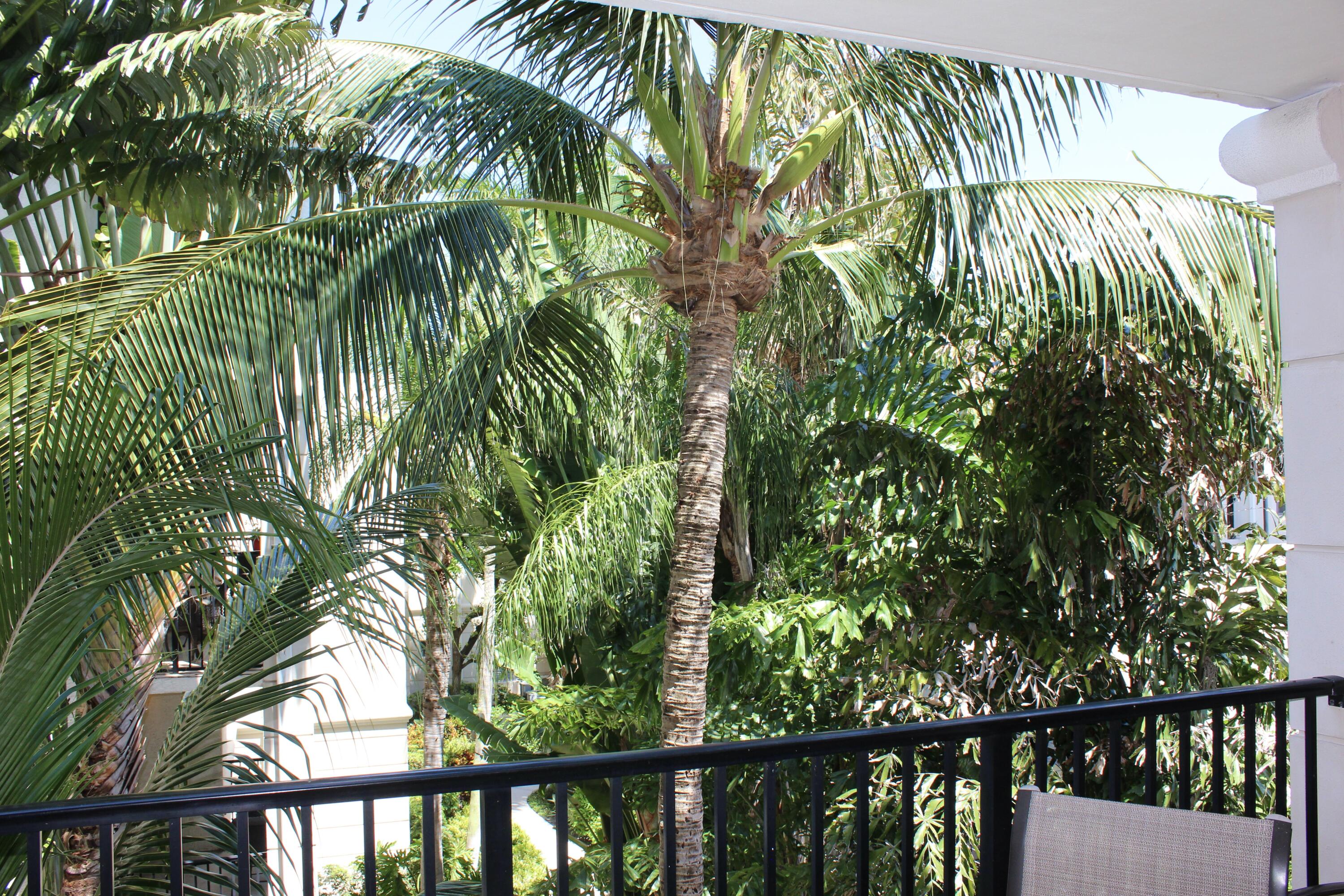 3302 Tuscany Way Property Photo 14