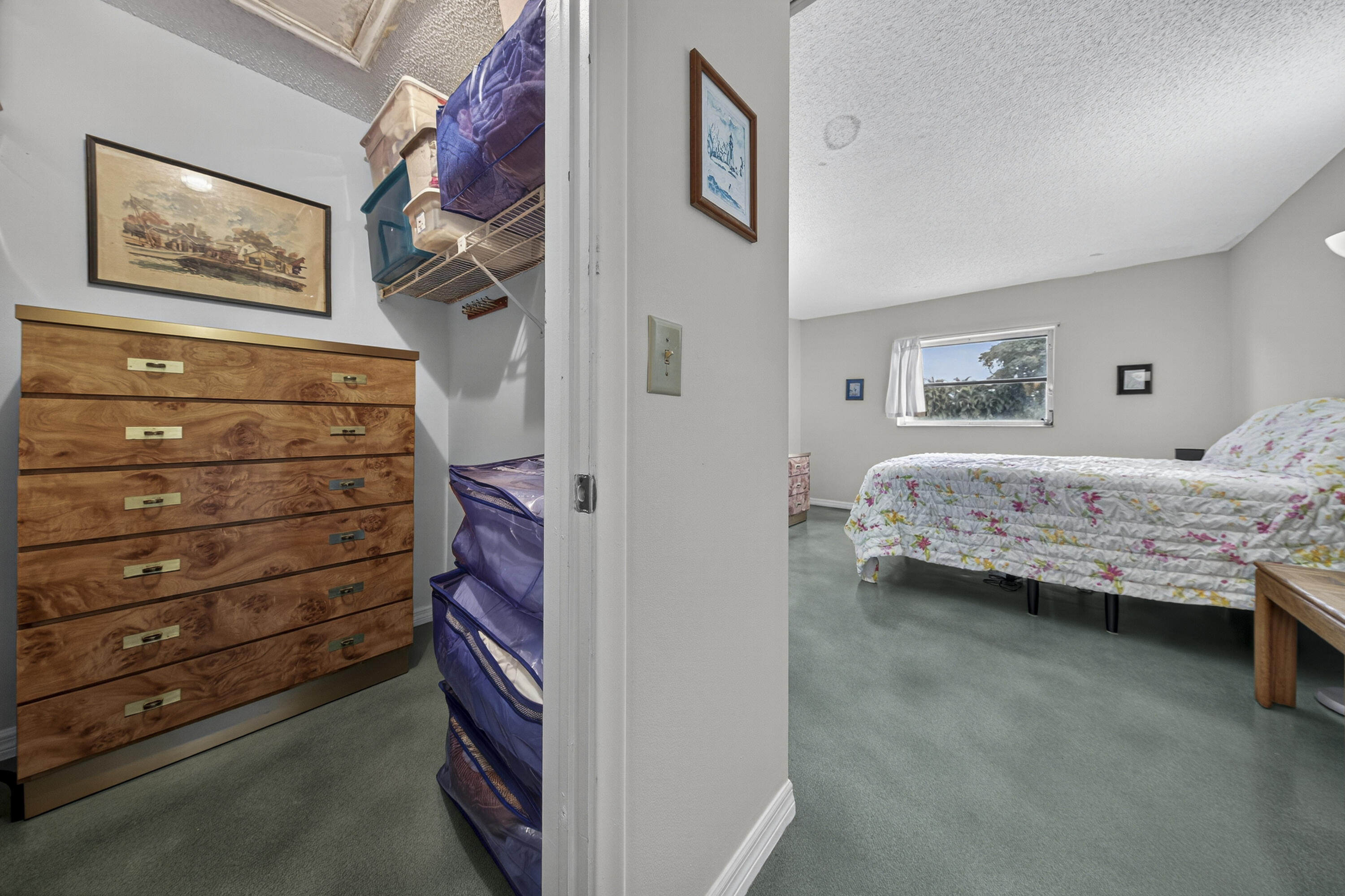 14236 Campanelli Drive Property Photo 19