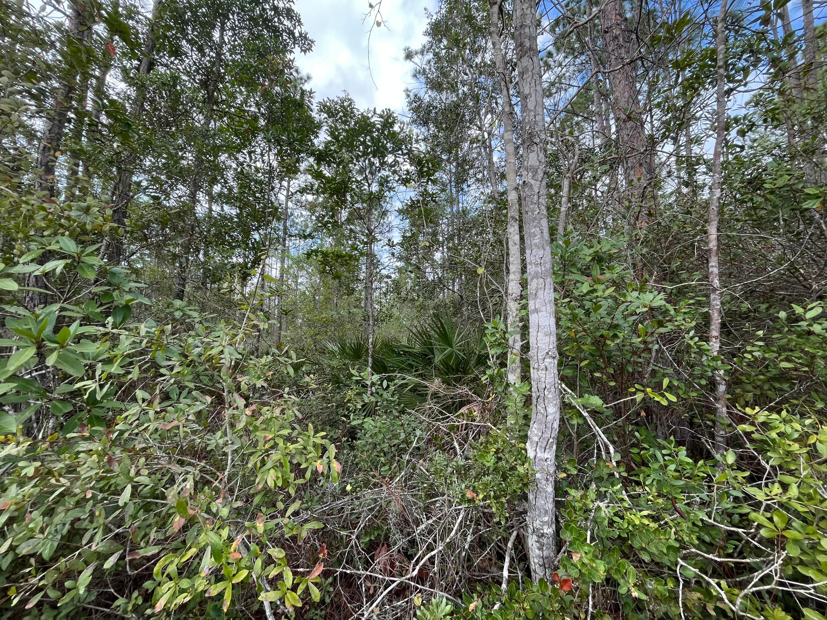 215 Royal Avenue Property Photo 5