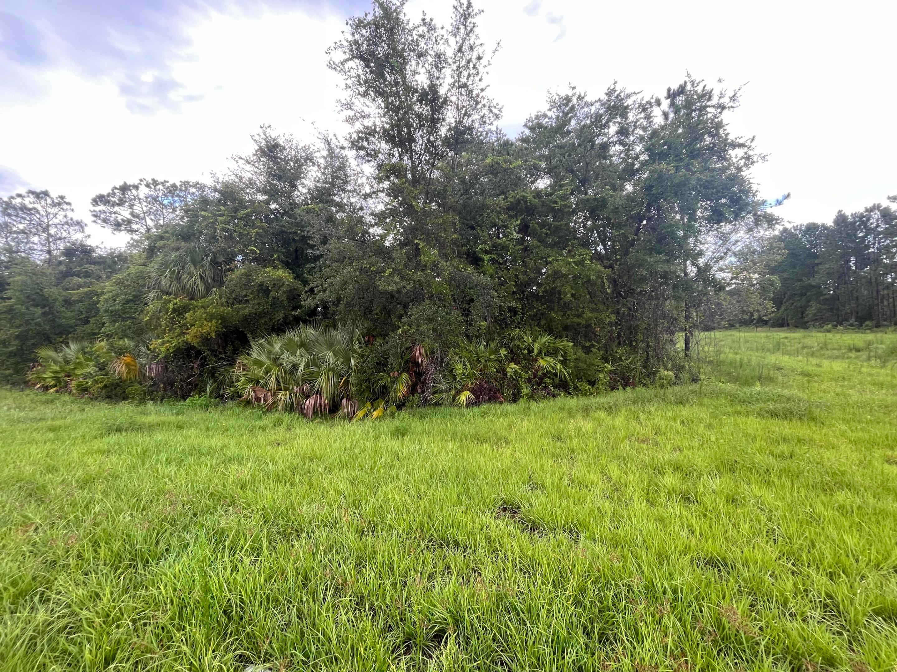 6883 St Johns Avenue Property Photo 4