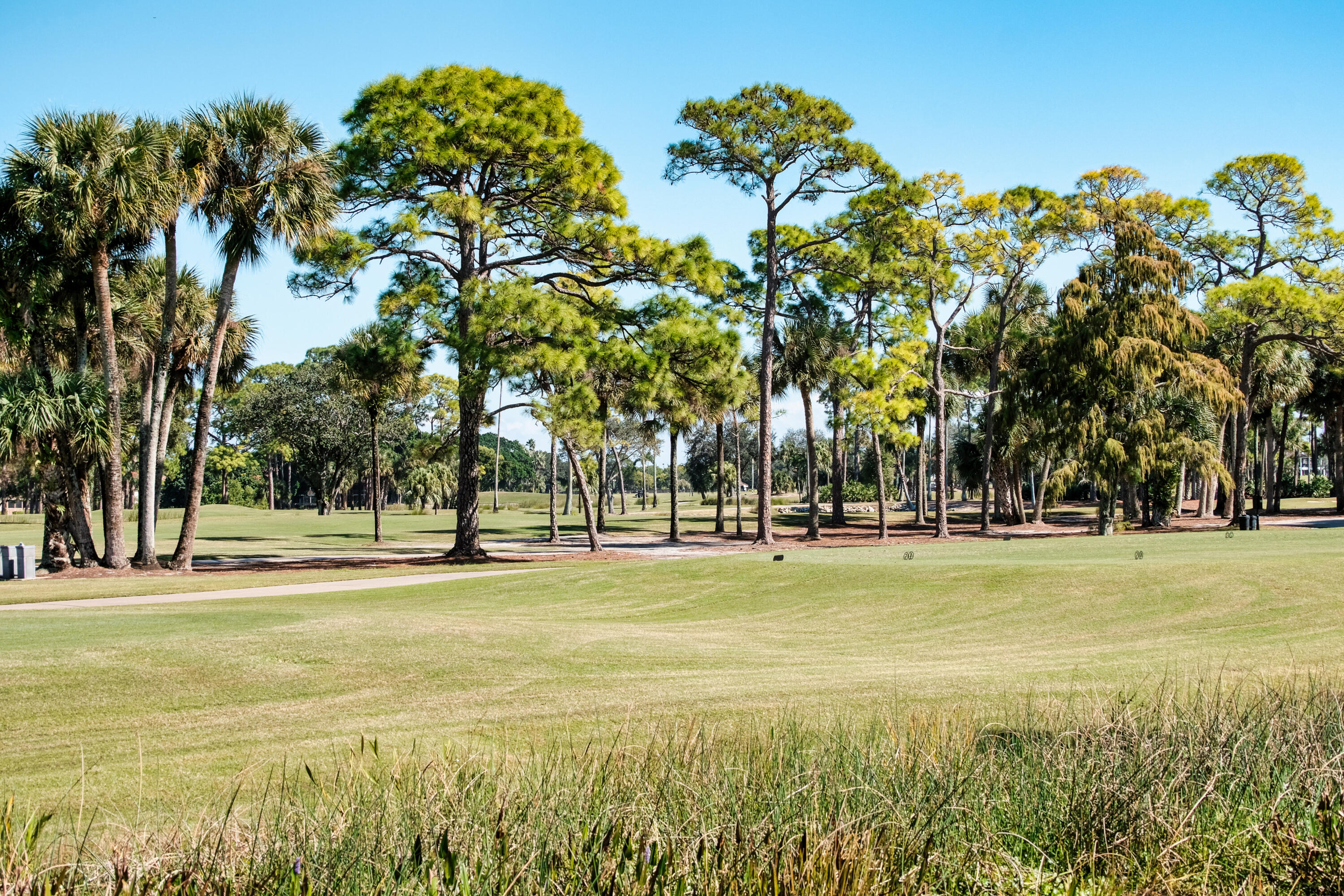305 Ryder Cup Circle Property Photo 66