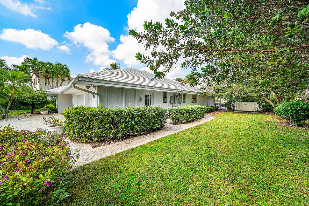 4705 Tree Fern Drive Property Photo 6