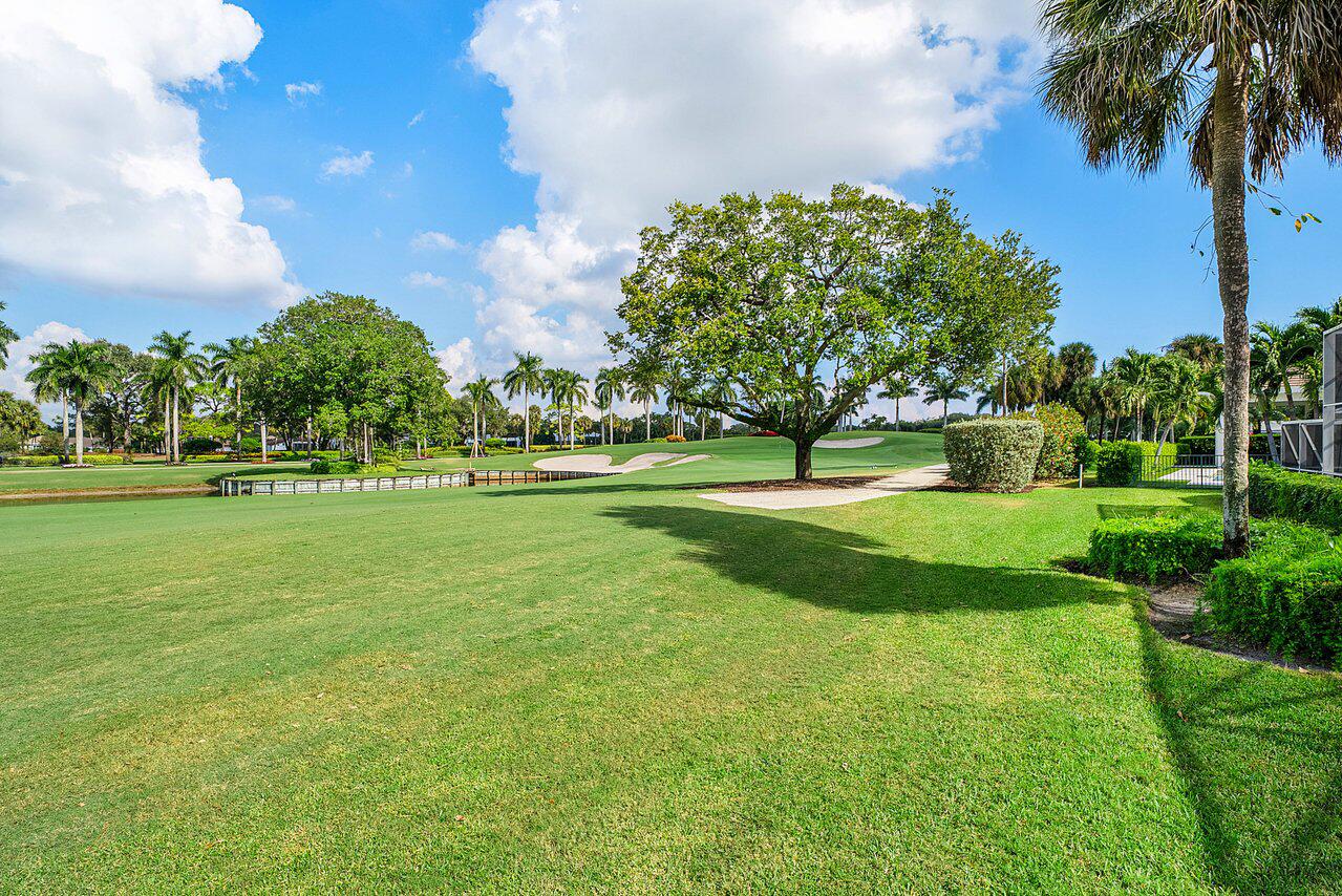 4705 Tree Fern Drive Property Photo 50