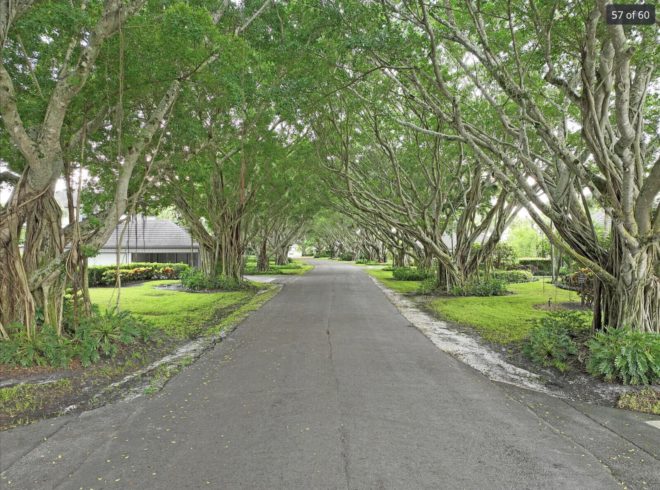 2735 Polo Island Drive K104 Property Photo 51