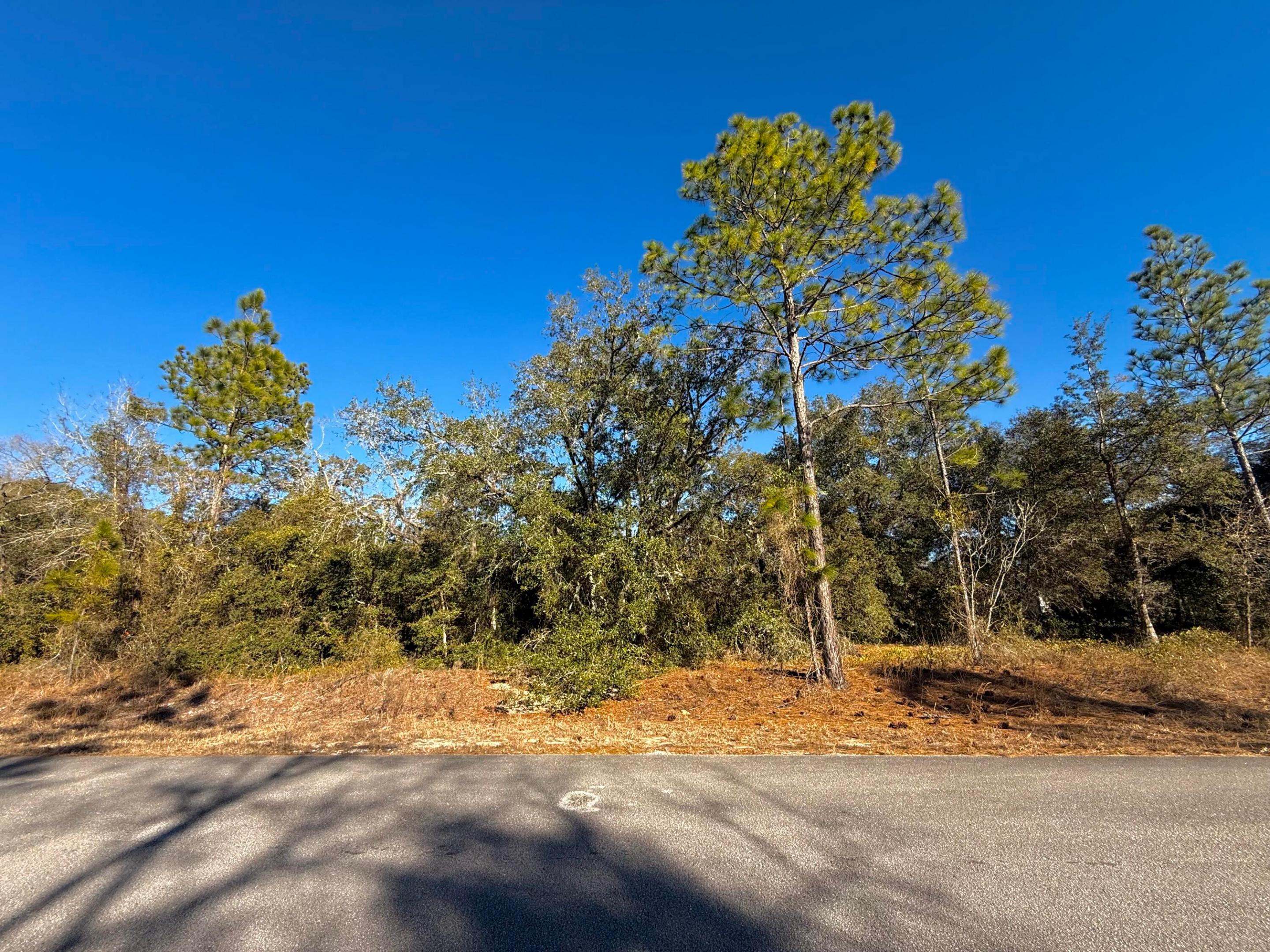 Tbd Lot 35 Sw Lobelia Court Property Photo 1