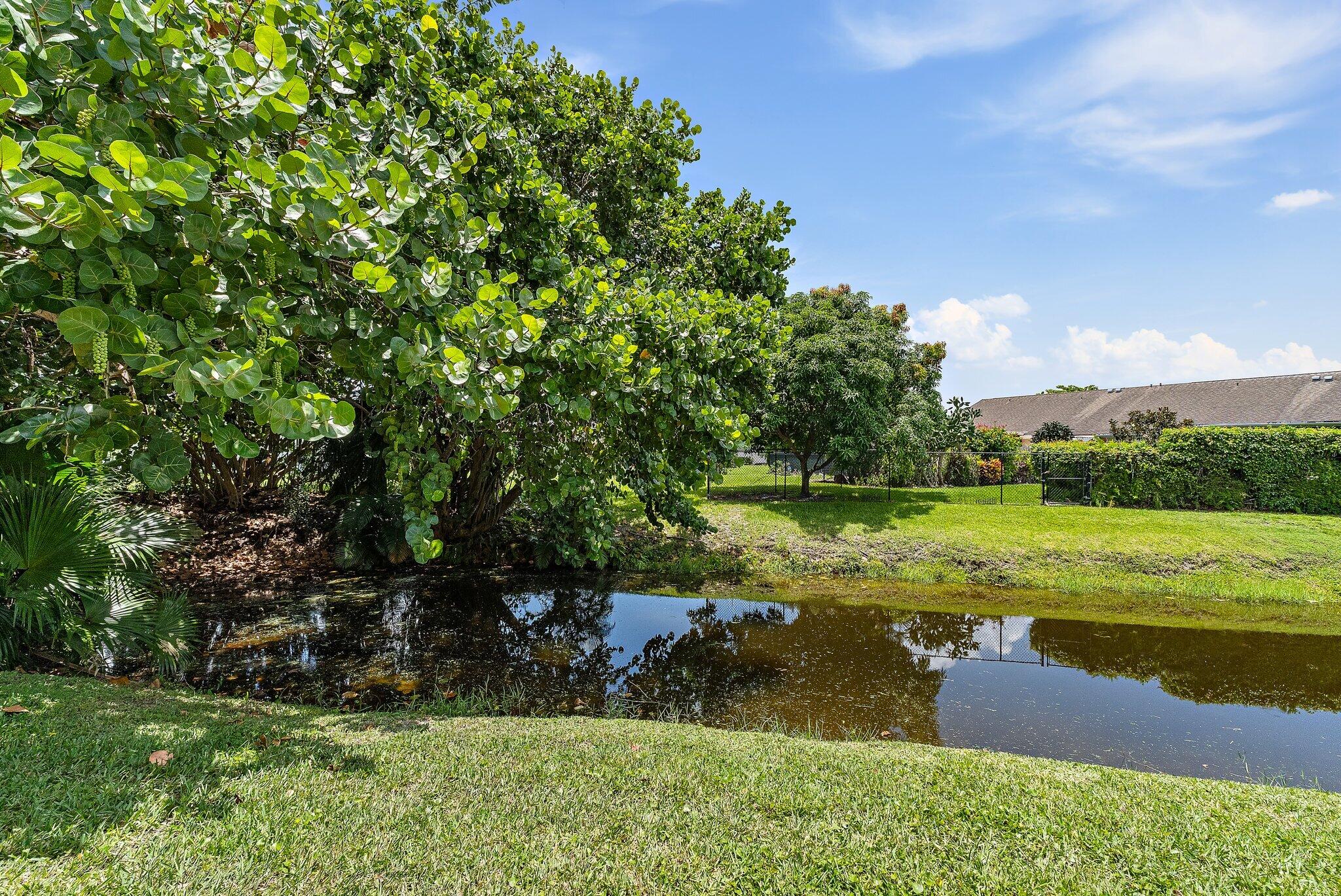 11830 Brier Patch Court Property Photo 29