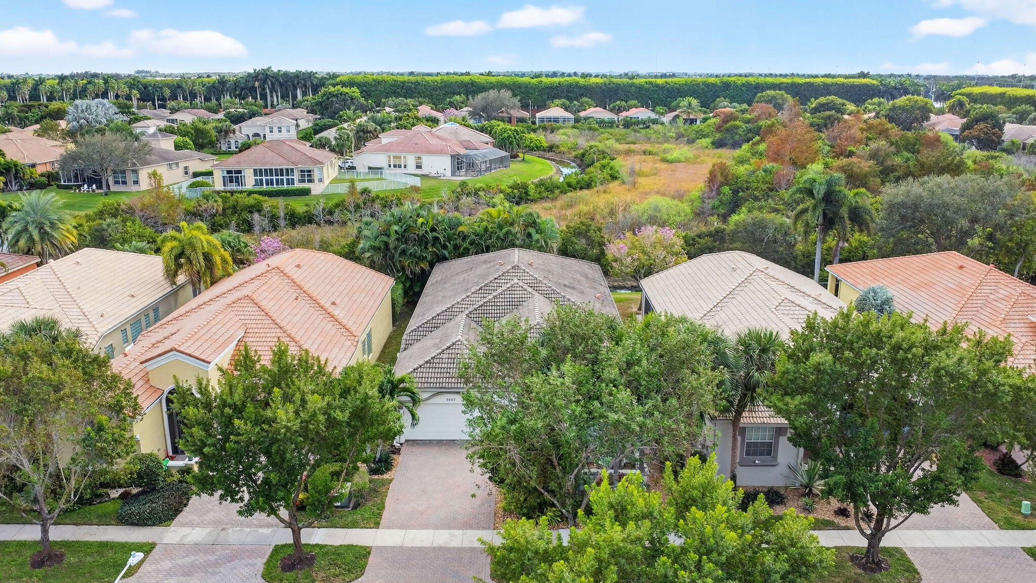 9842 Via Elegante Property Photo 40