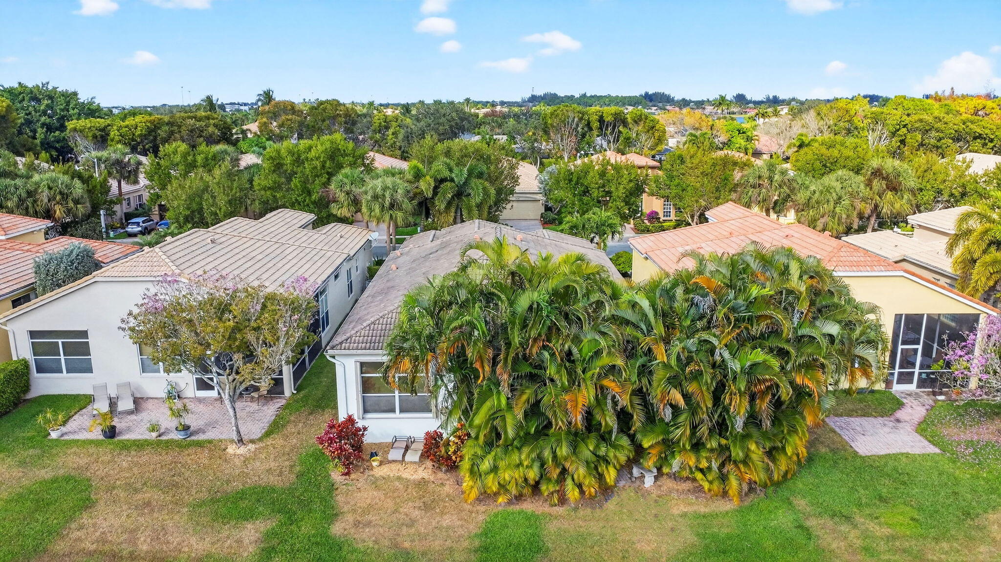 9842 Via Elegante Property Photo 41