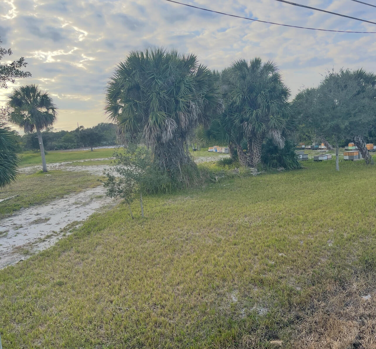 6440 Highway 1 Property Photo 1