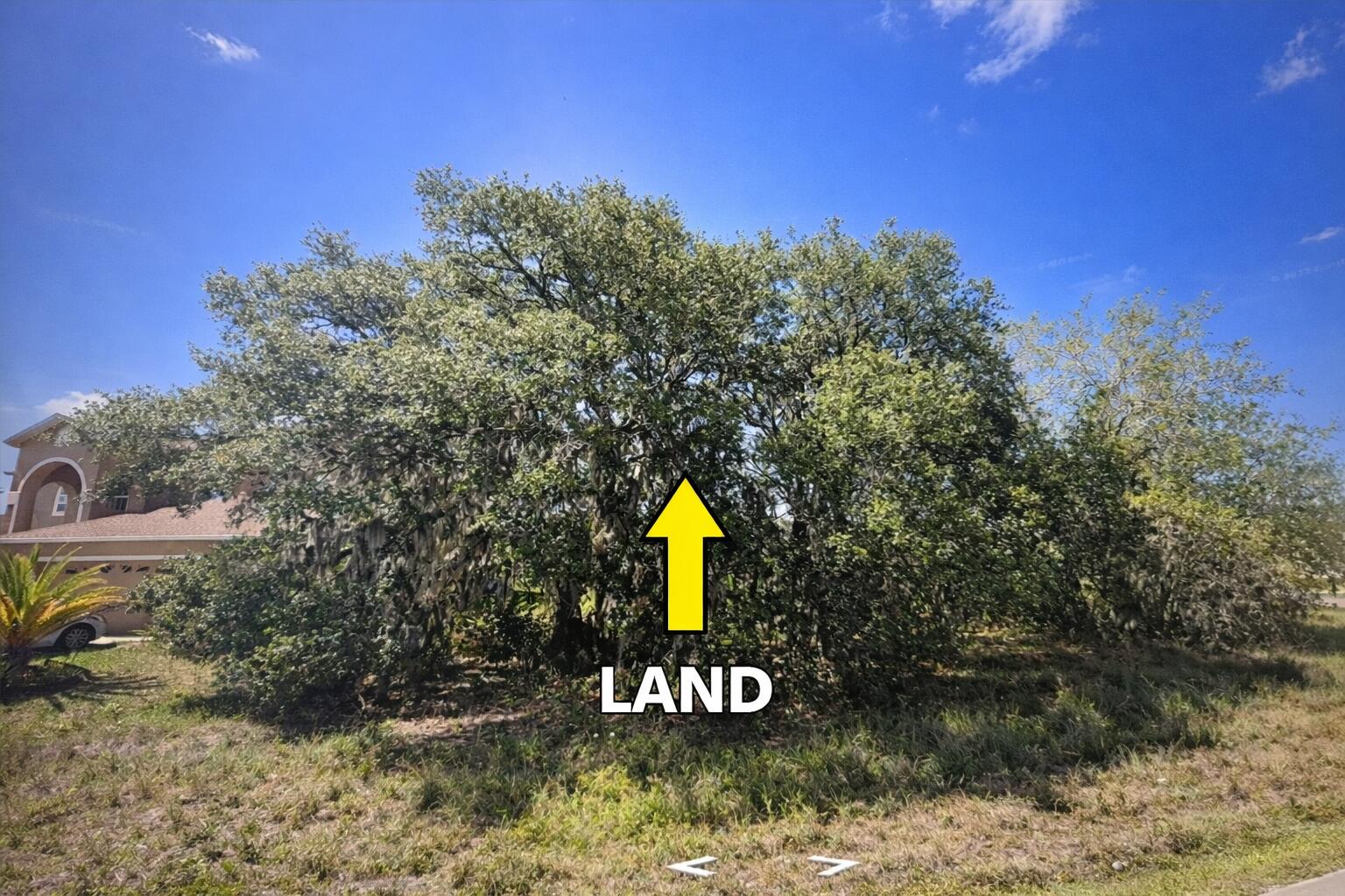 180 Big Black Drive Property Photo 3
