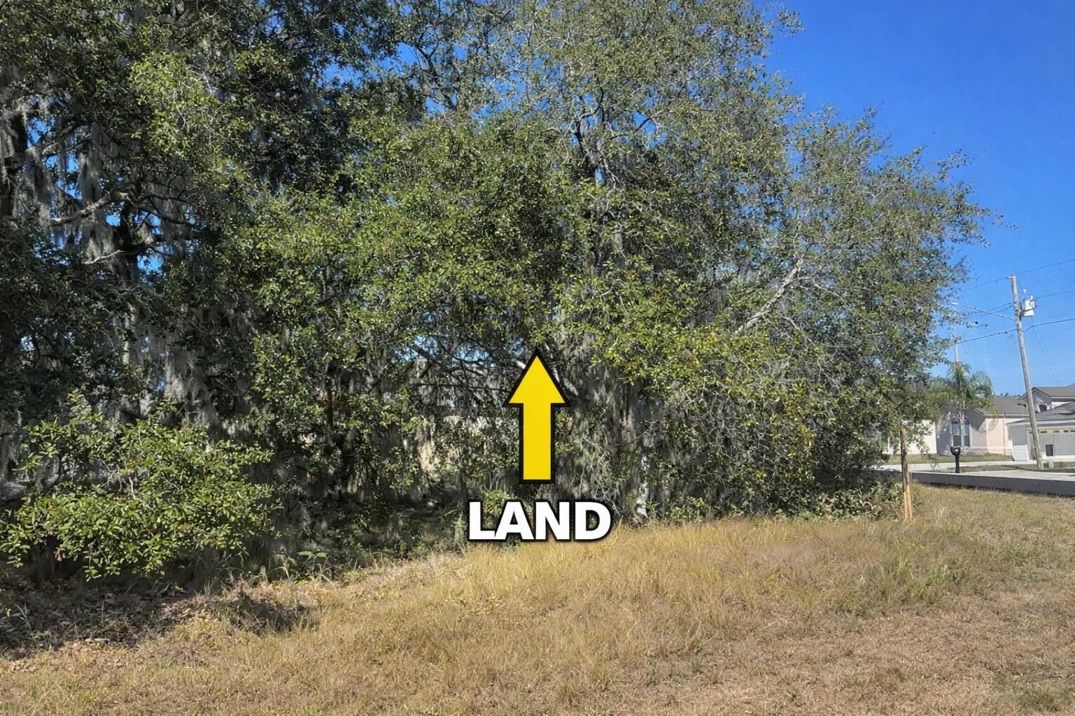 180 Big Black Drive Property Photo 4