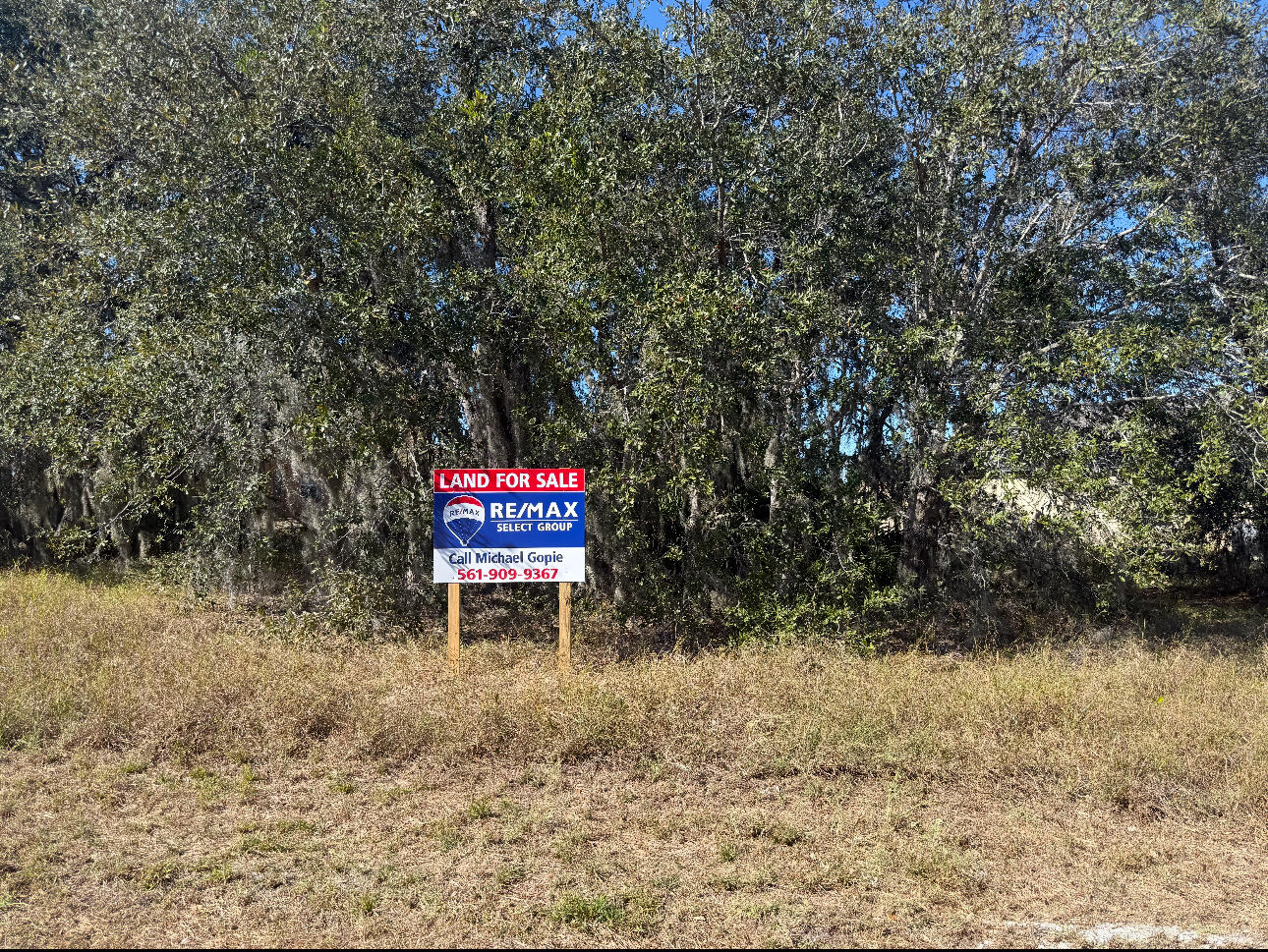 180 Big Black Drive Property Photo 5