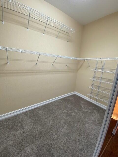 9504 Equus Circle Property Photo 19