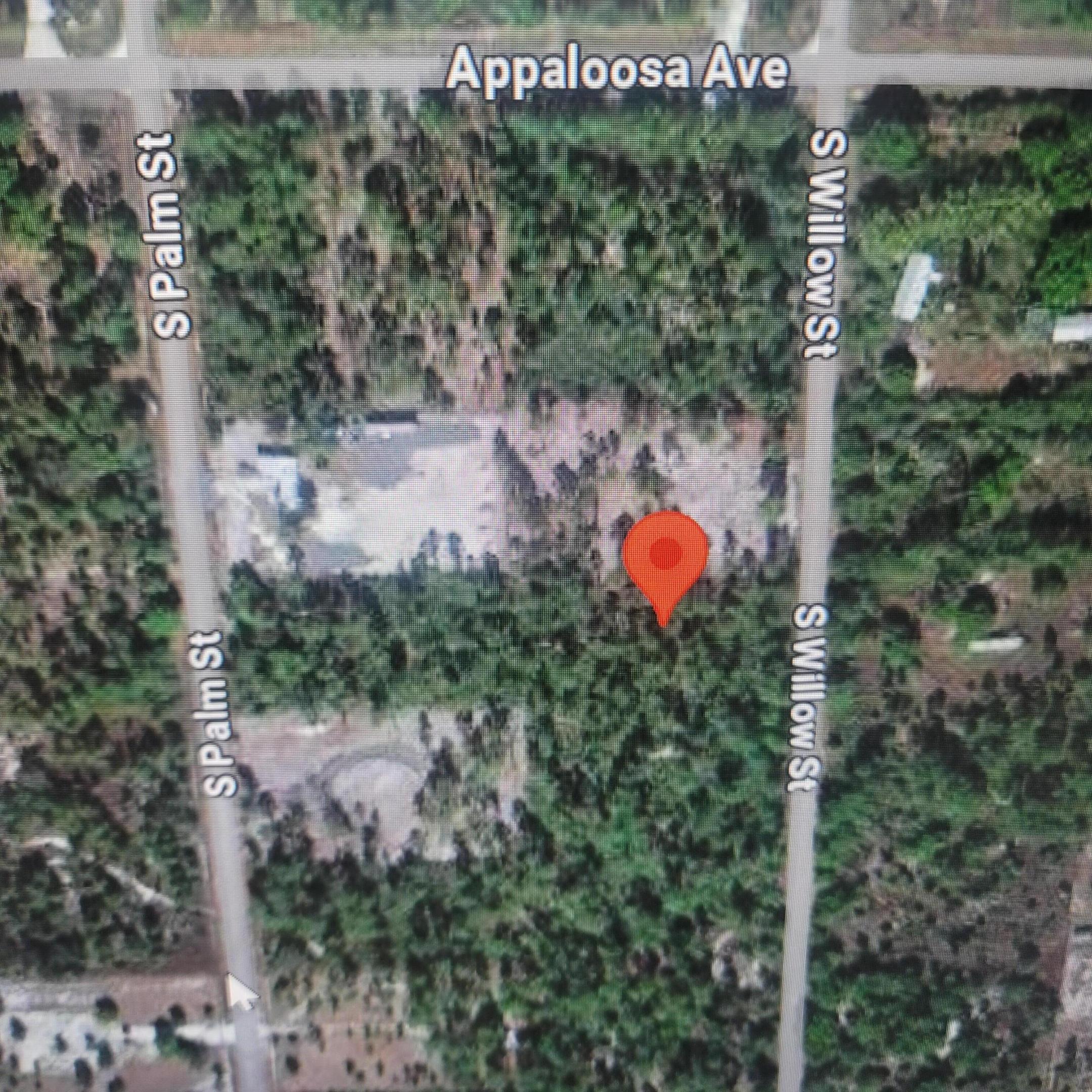 730 S Willow Property Photo 3