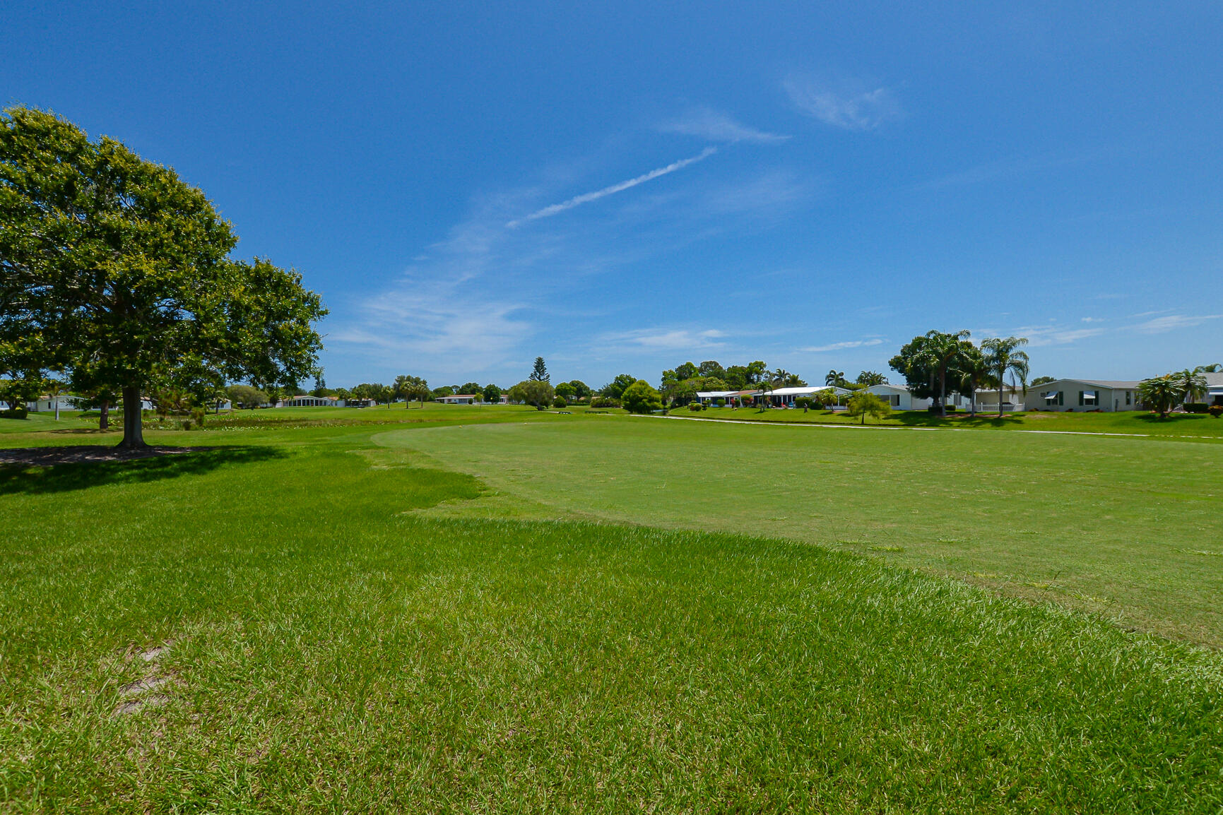 3225 Scarlet Tanager Court Property Photo 39