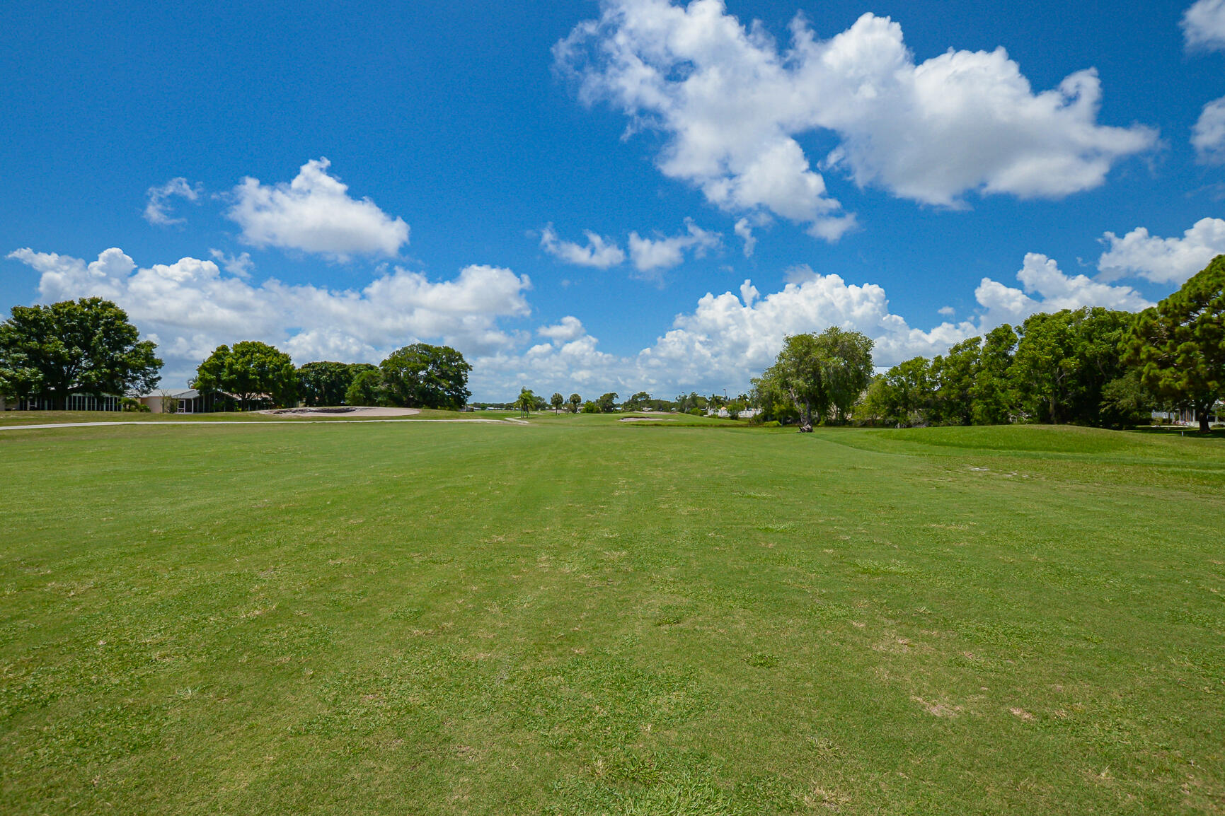 3225 Scarlet Tanager Court Property Photo 43