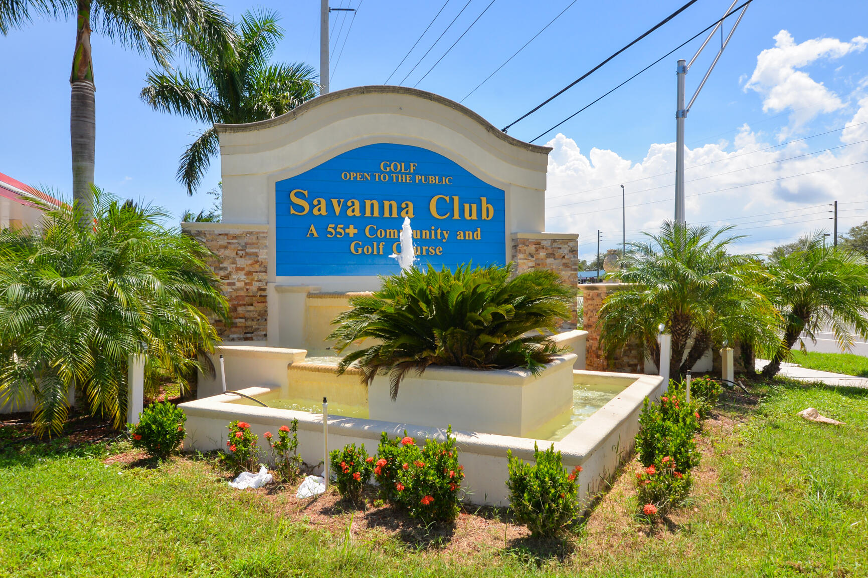 3225 Scarlet Tanager Court Property Photo 44