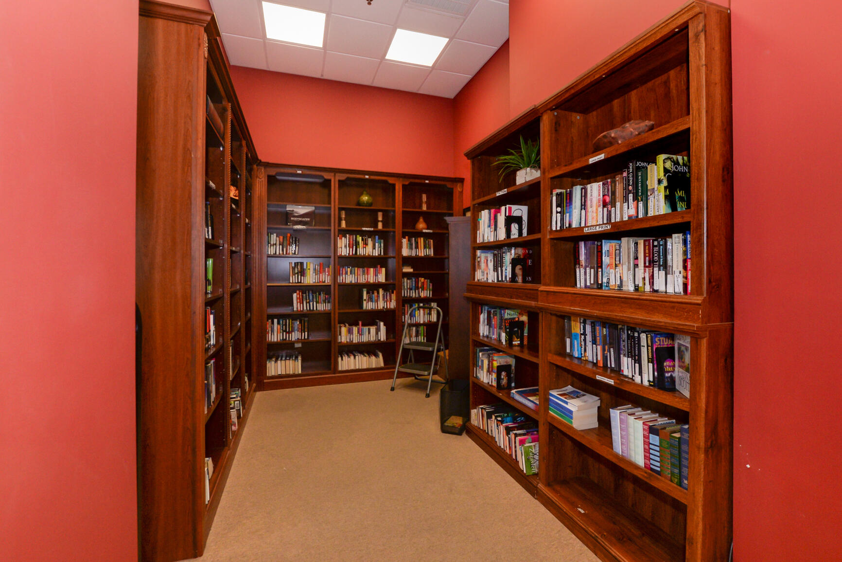3225 Scarlet Tanager Court Property Photo 49