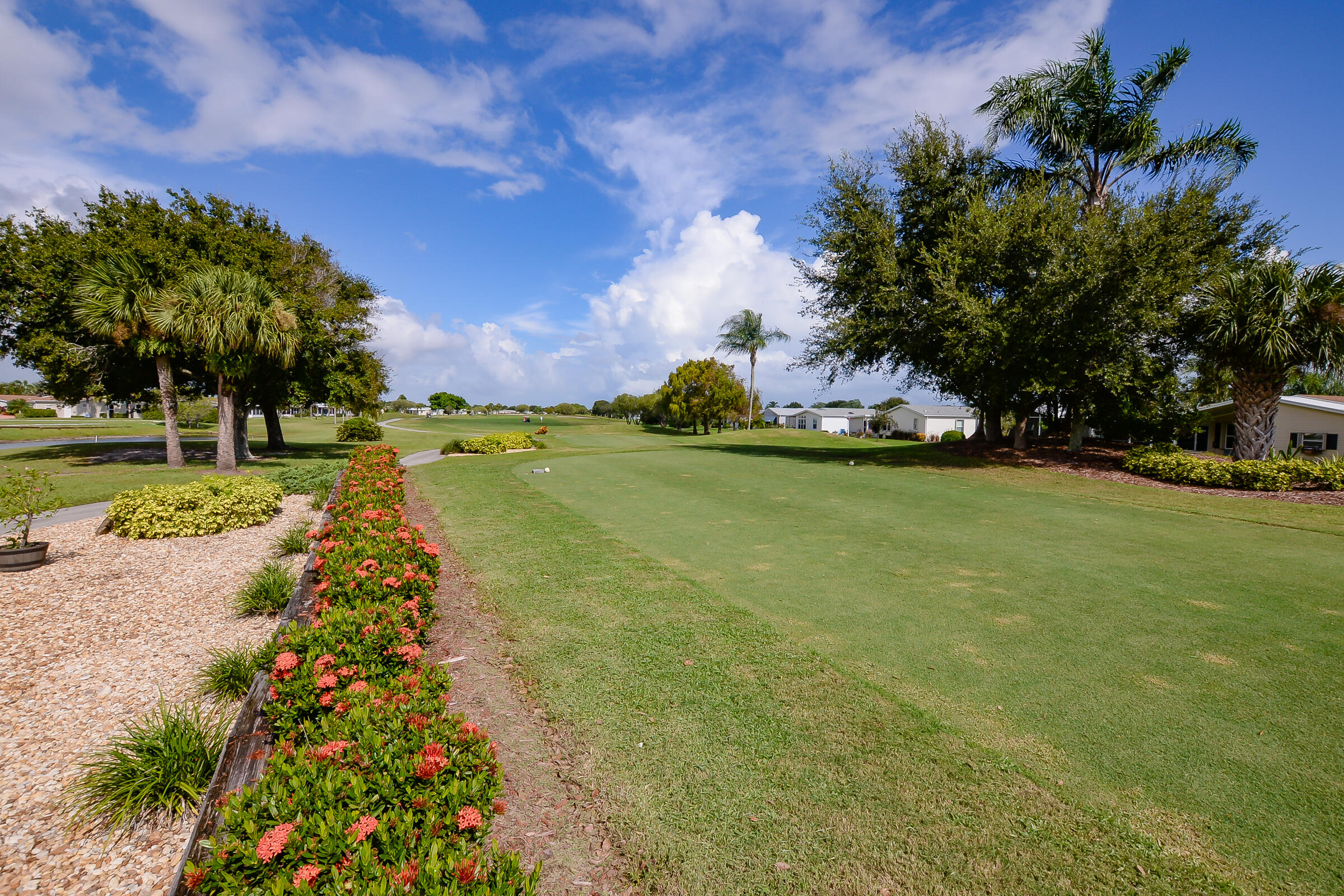 3225 Scarlet Tanager Court Property Photo 66