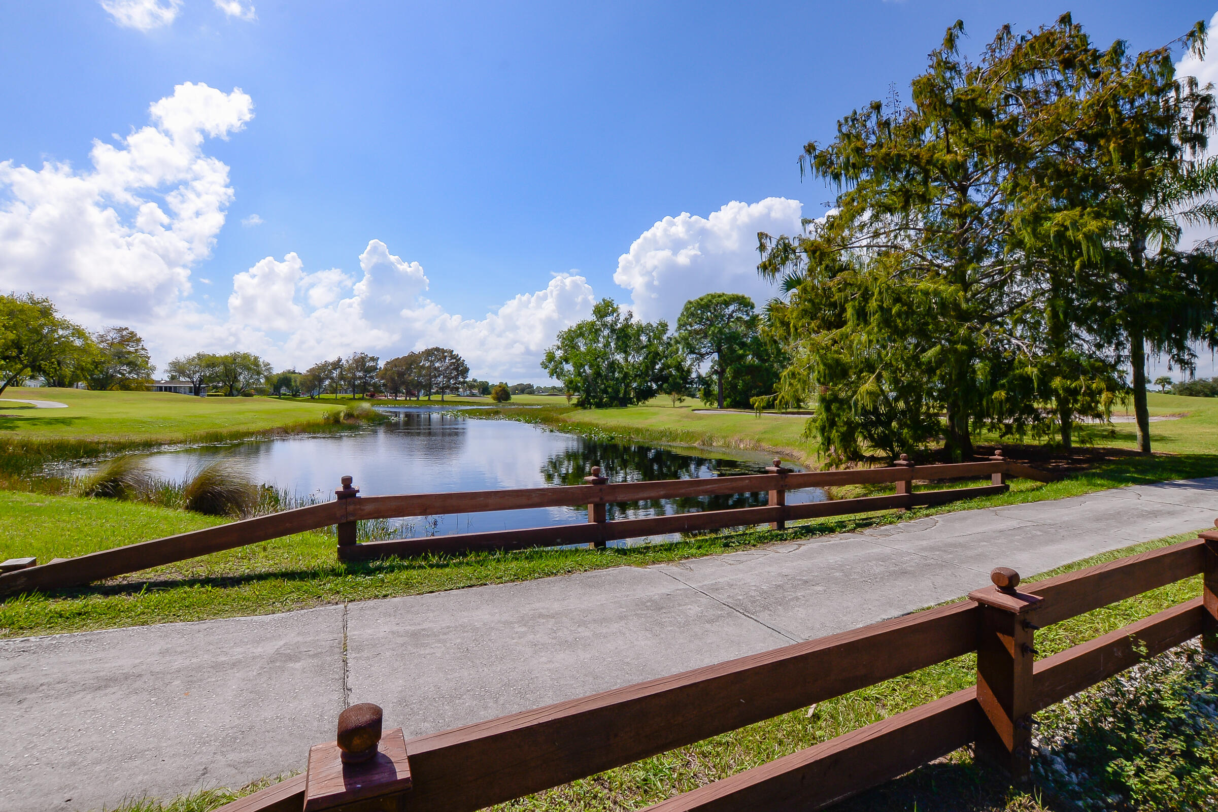 3225 Scarlet Tanager Court Property Photo 67