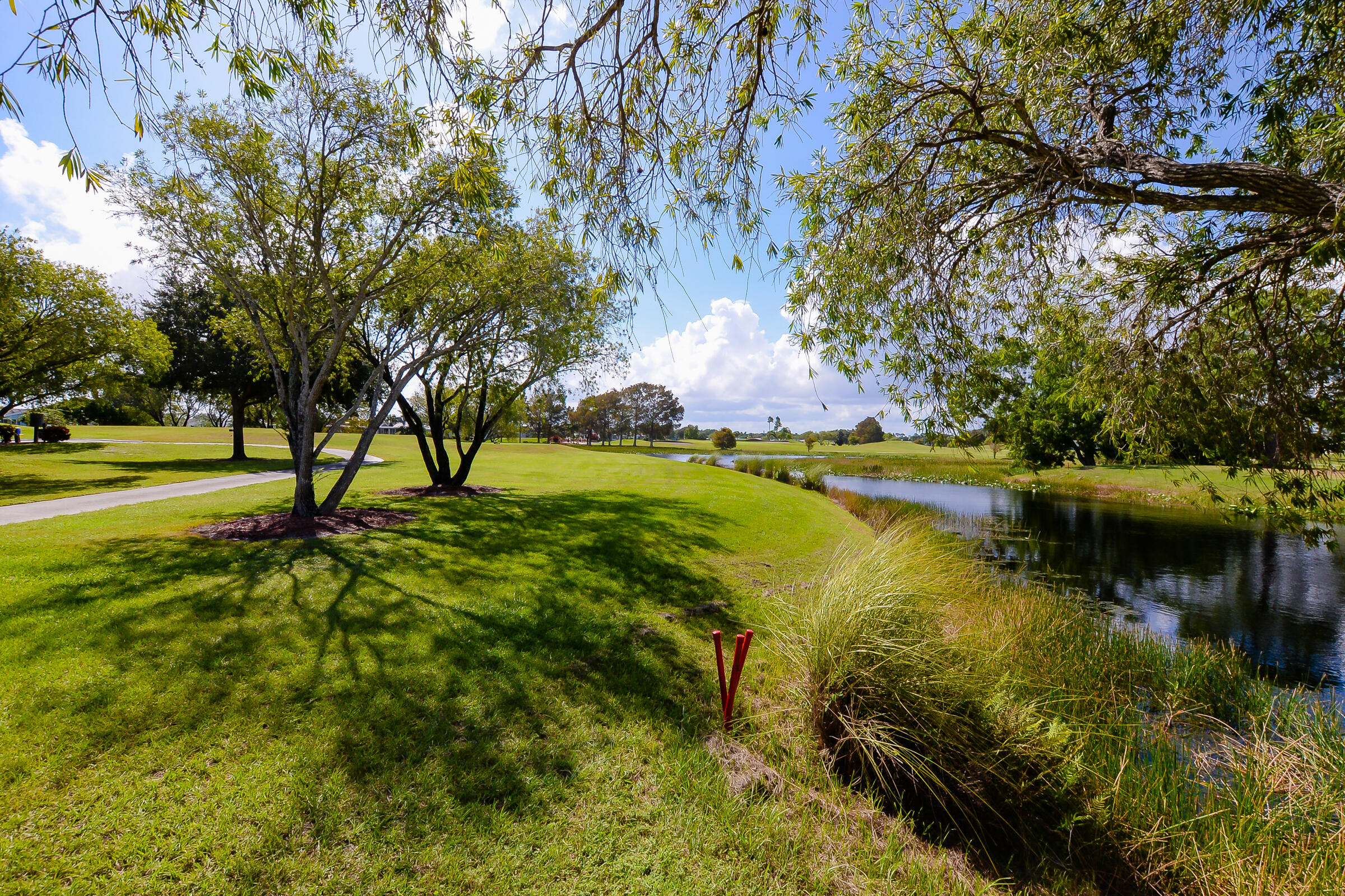 3225 Scarlet Tanager Court Property Photo 68